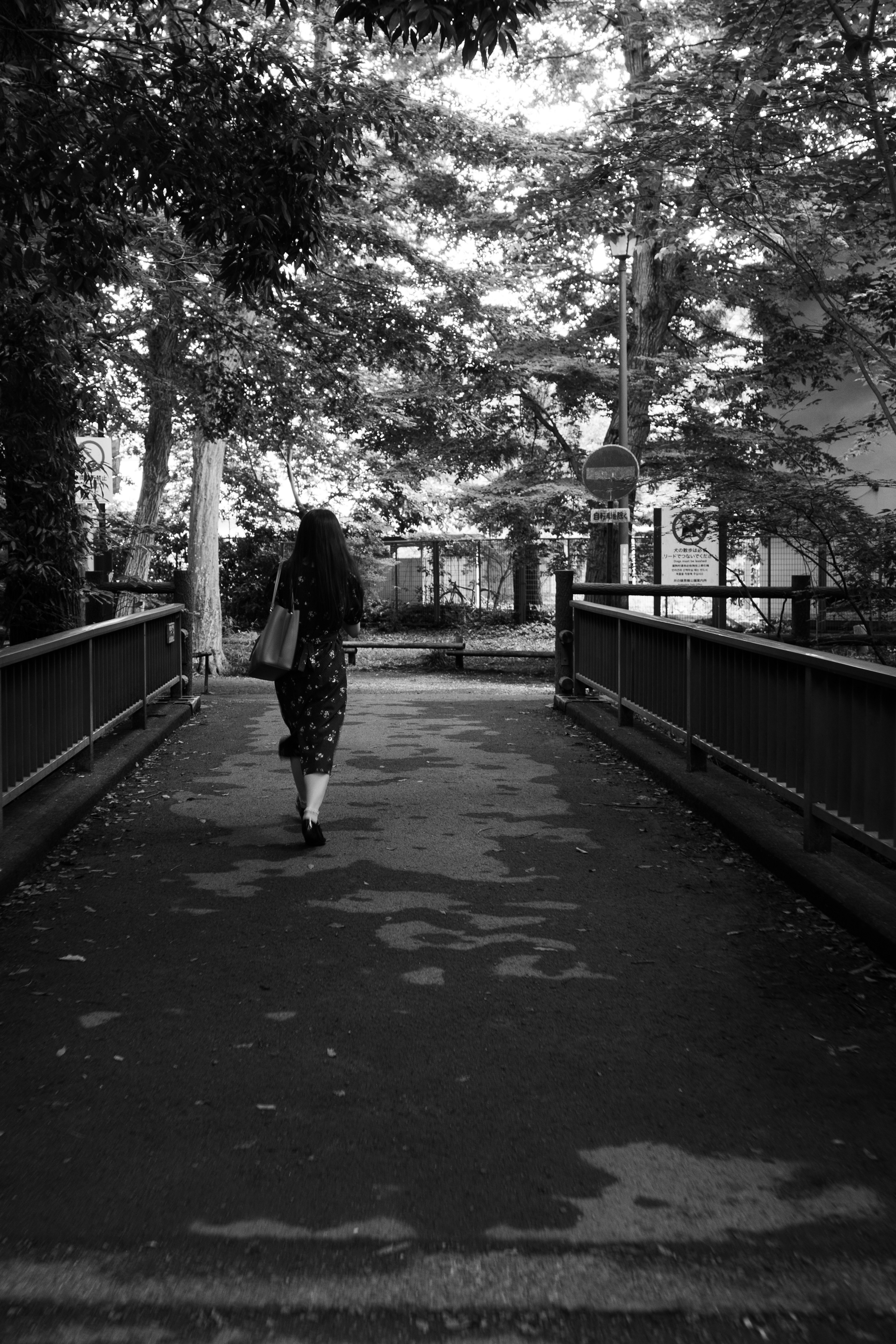 Una mujer caminando sobre un puente en blanco y negro rodeada de árboles creando una atmósfera serena