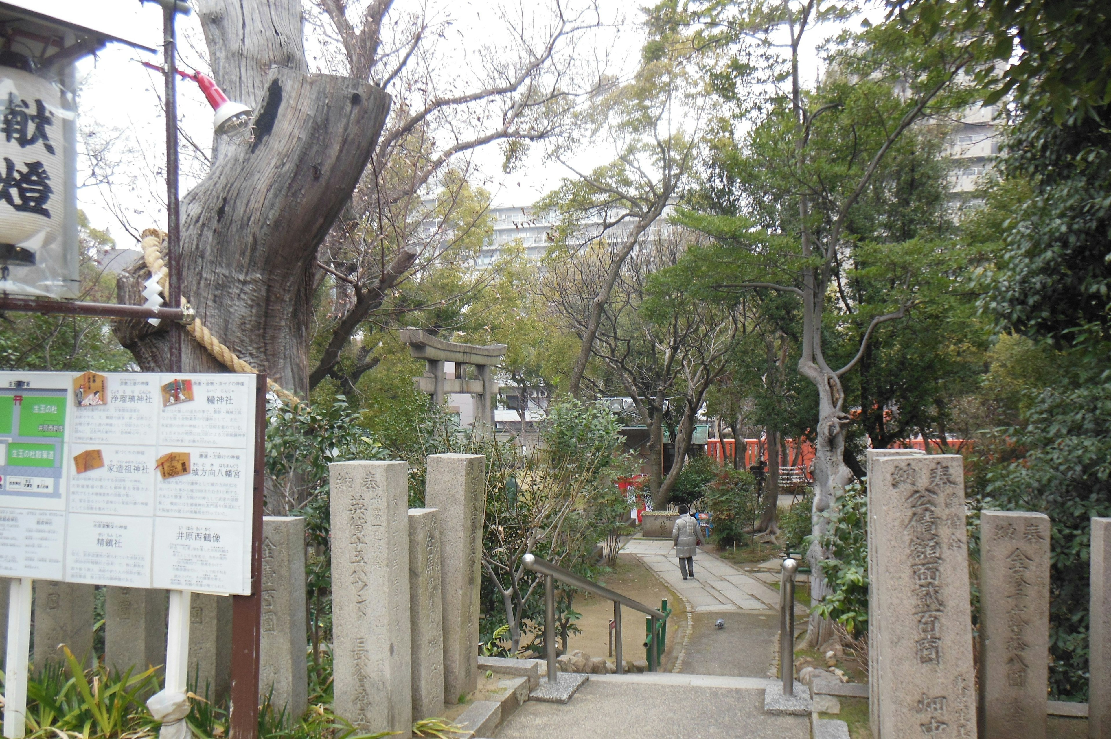 Staircase leading into a park with a sign lush greenery and natural scenery