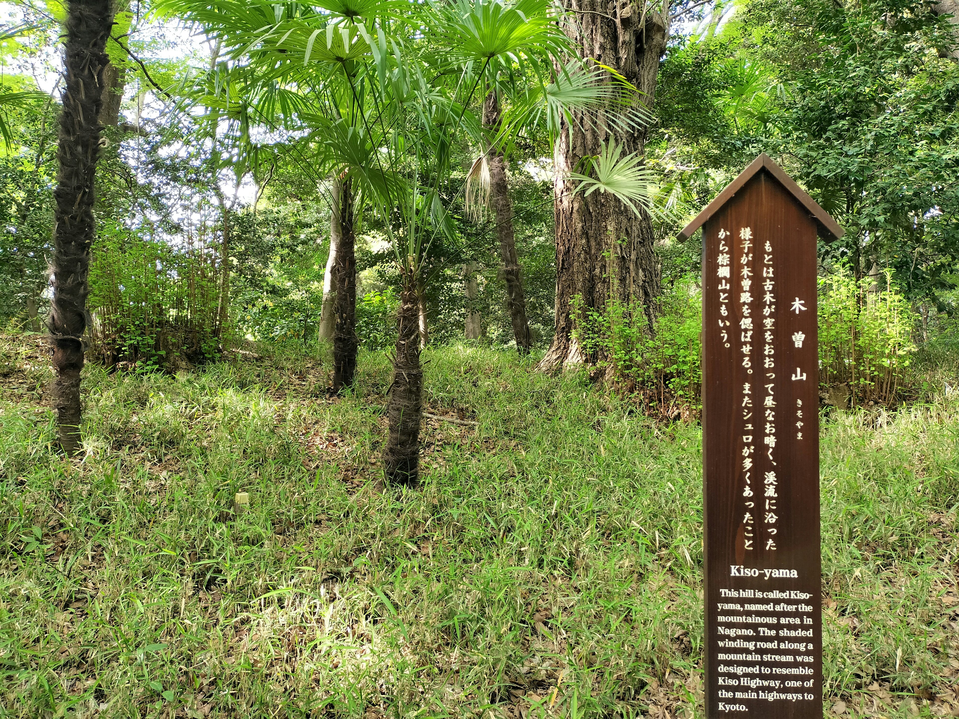 Information sign in a forest with green trees