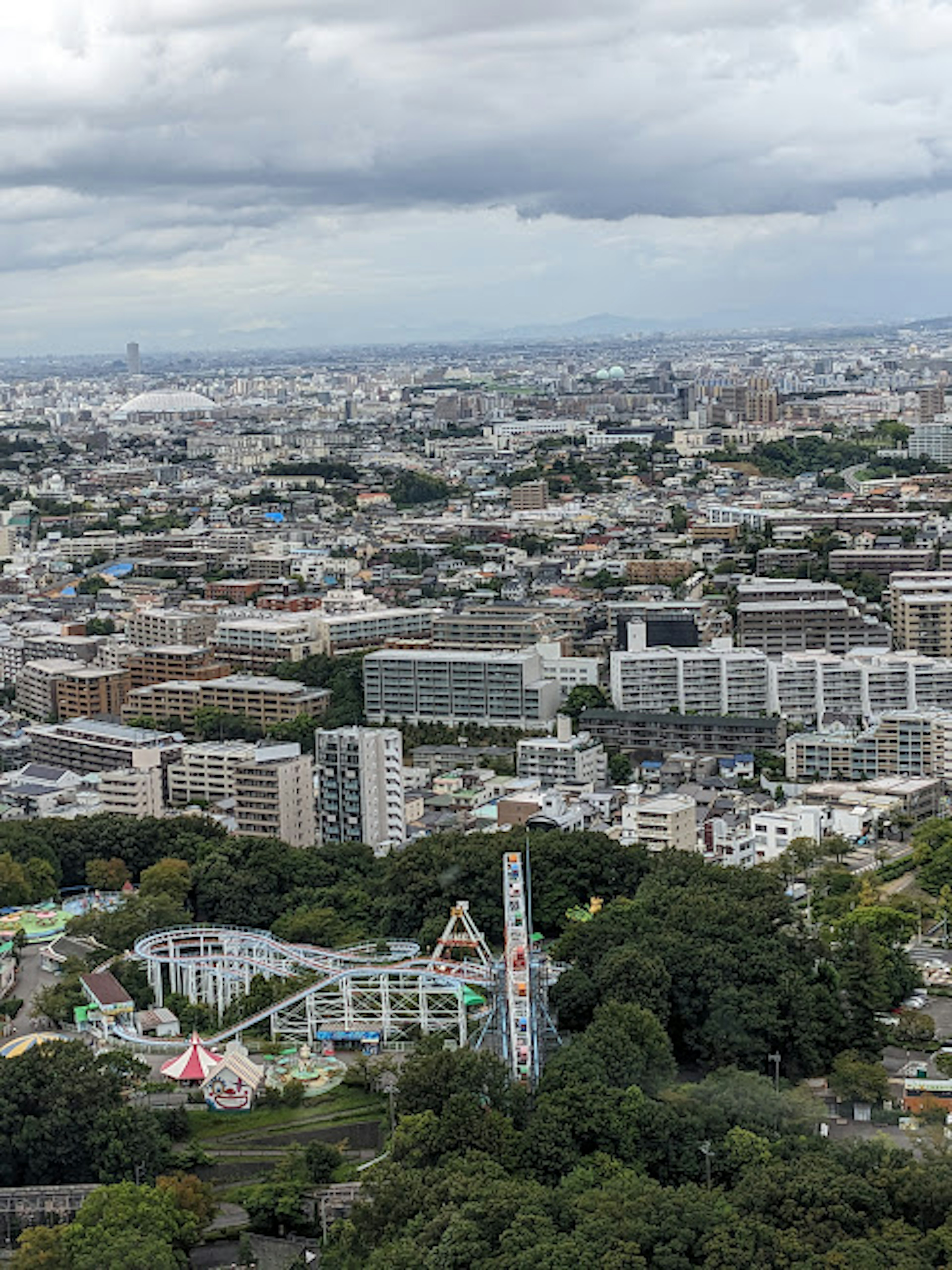 Vista aerea di Tokyo che mostra il paesaggio urbano e le attrazioni di un parco divertimenti