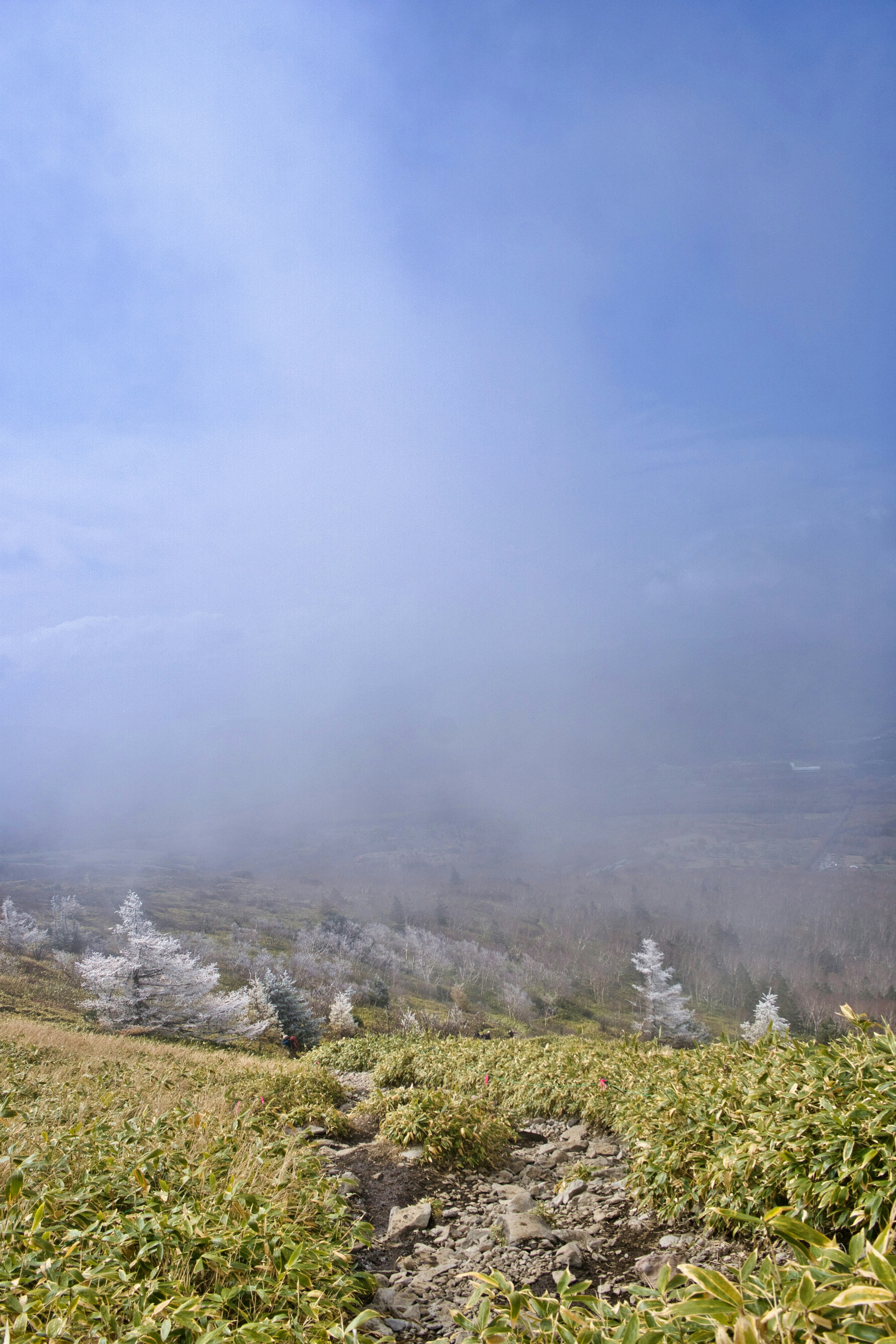 Paesaggio montano avvolto nella nebbia con erba verde e cielo blu