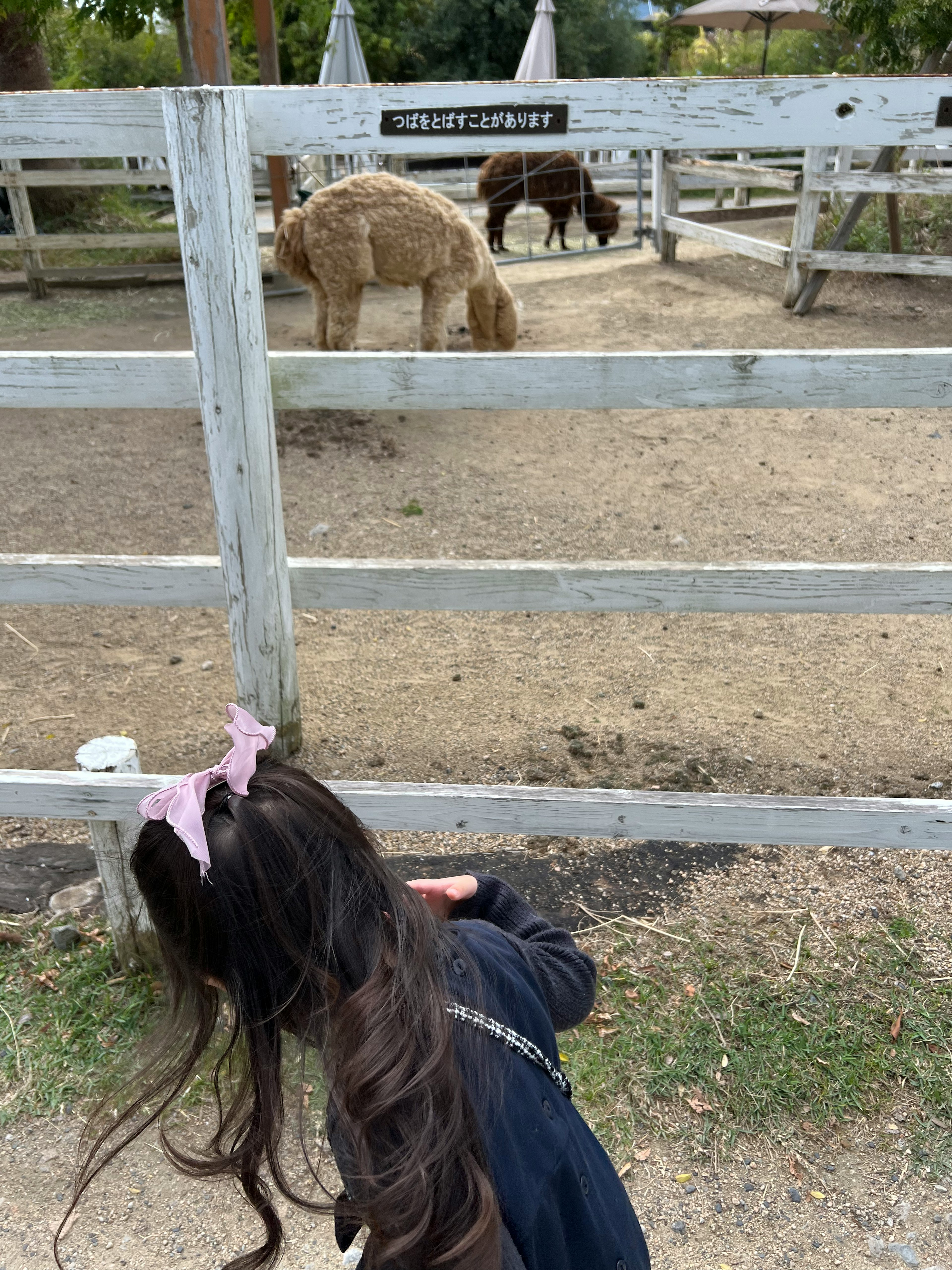 子供が動物を見ている農場の風景