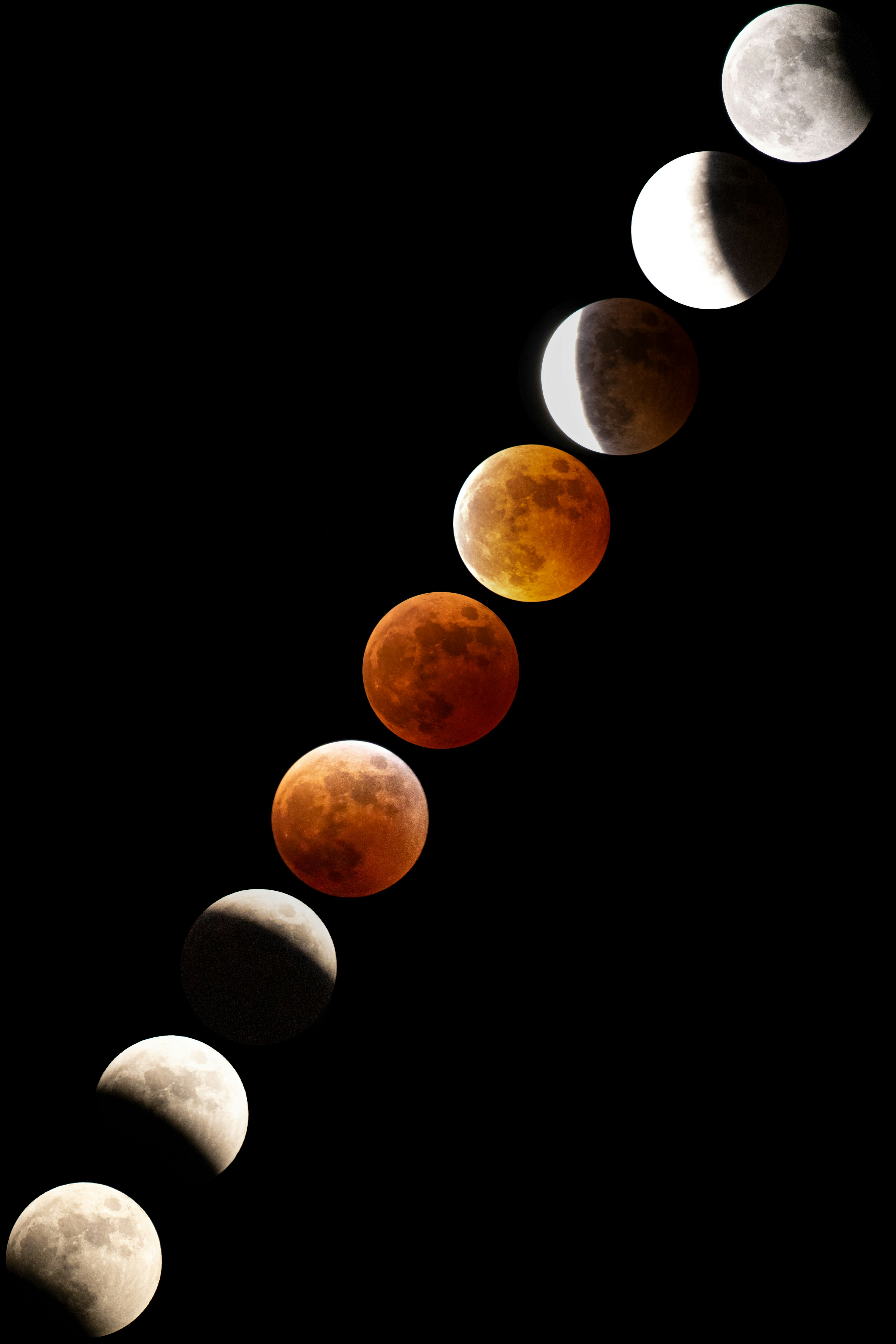 Image showing the phases of the moon