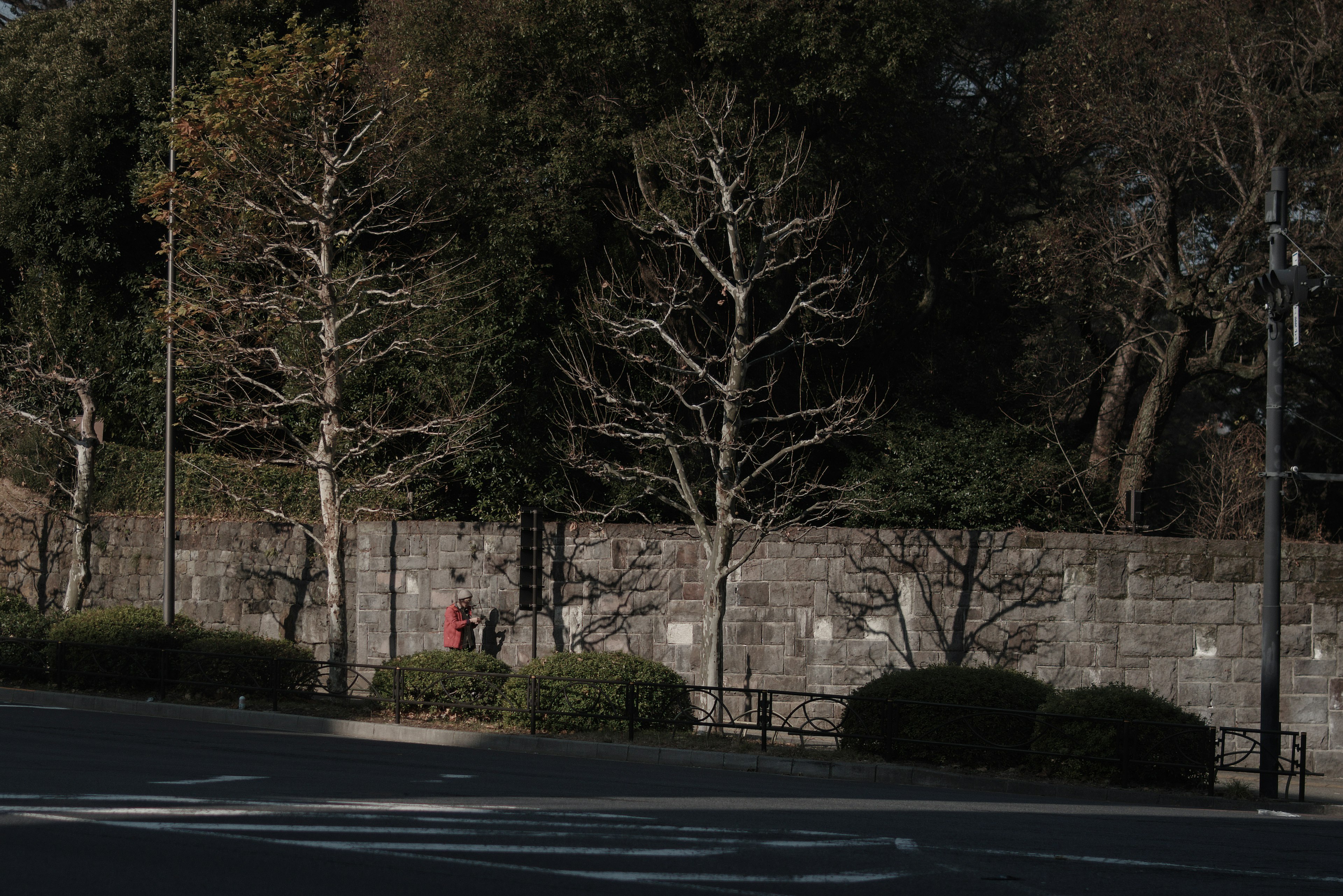 Scène tranquille avec mur en pierre et arbres nus