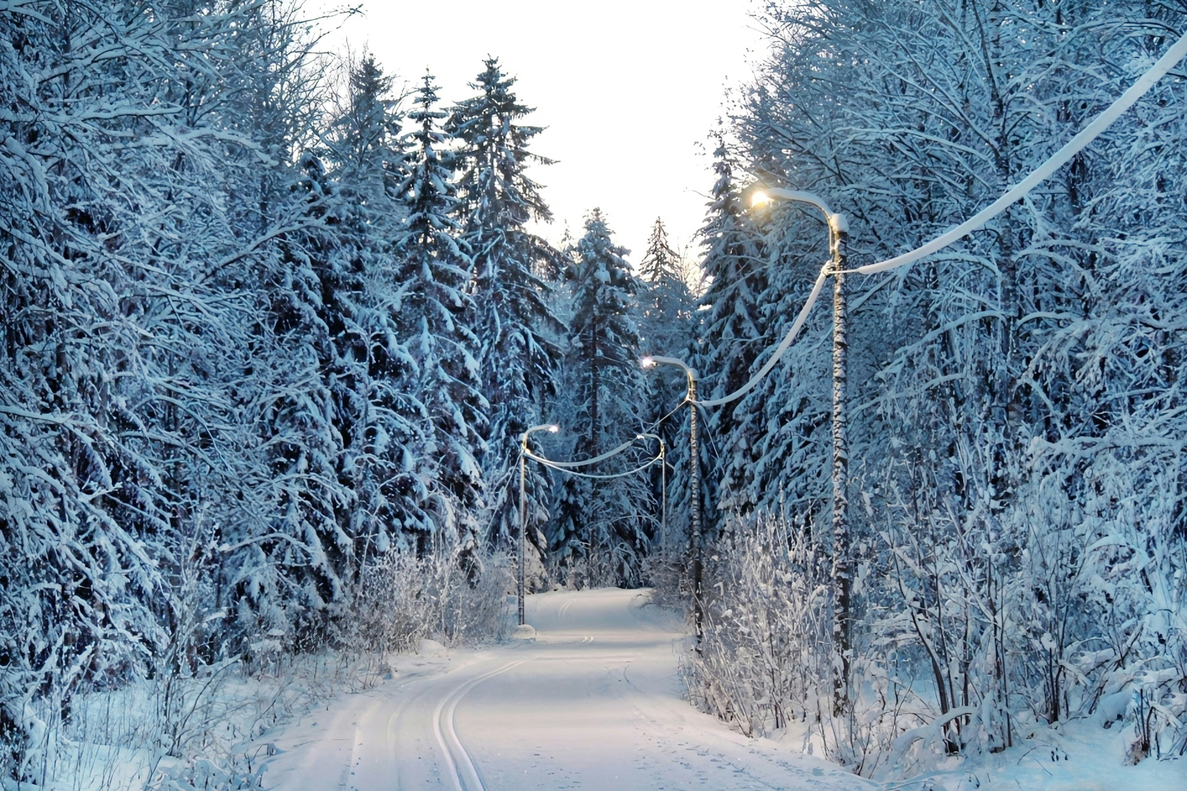 Camino nevado tranquilo a través de un bosque con farolas