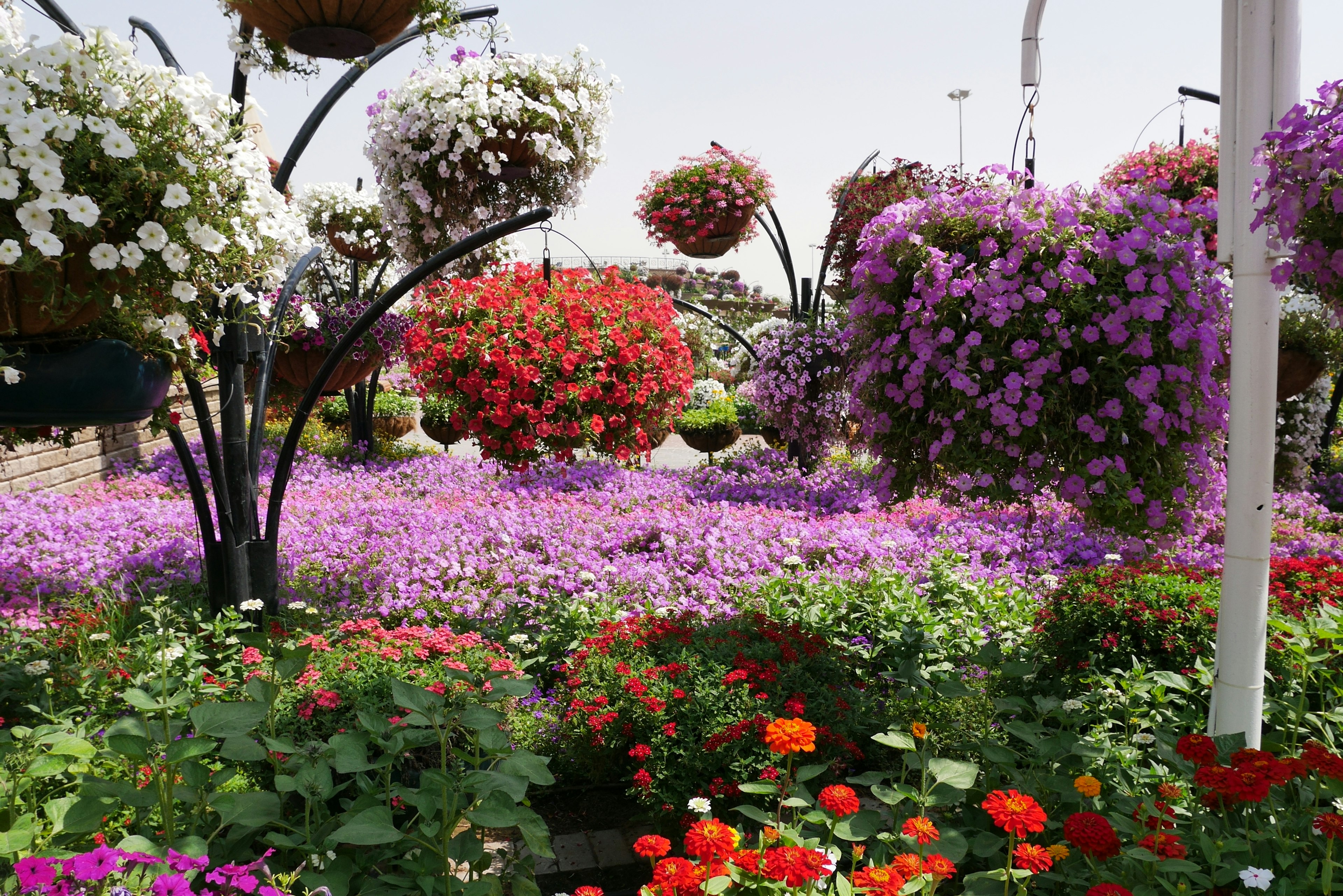 Lebendige Gartenansicht mit bunten Blumen hängenden Körben und blühenden Pflanzen