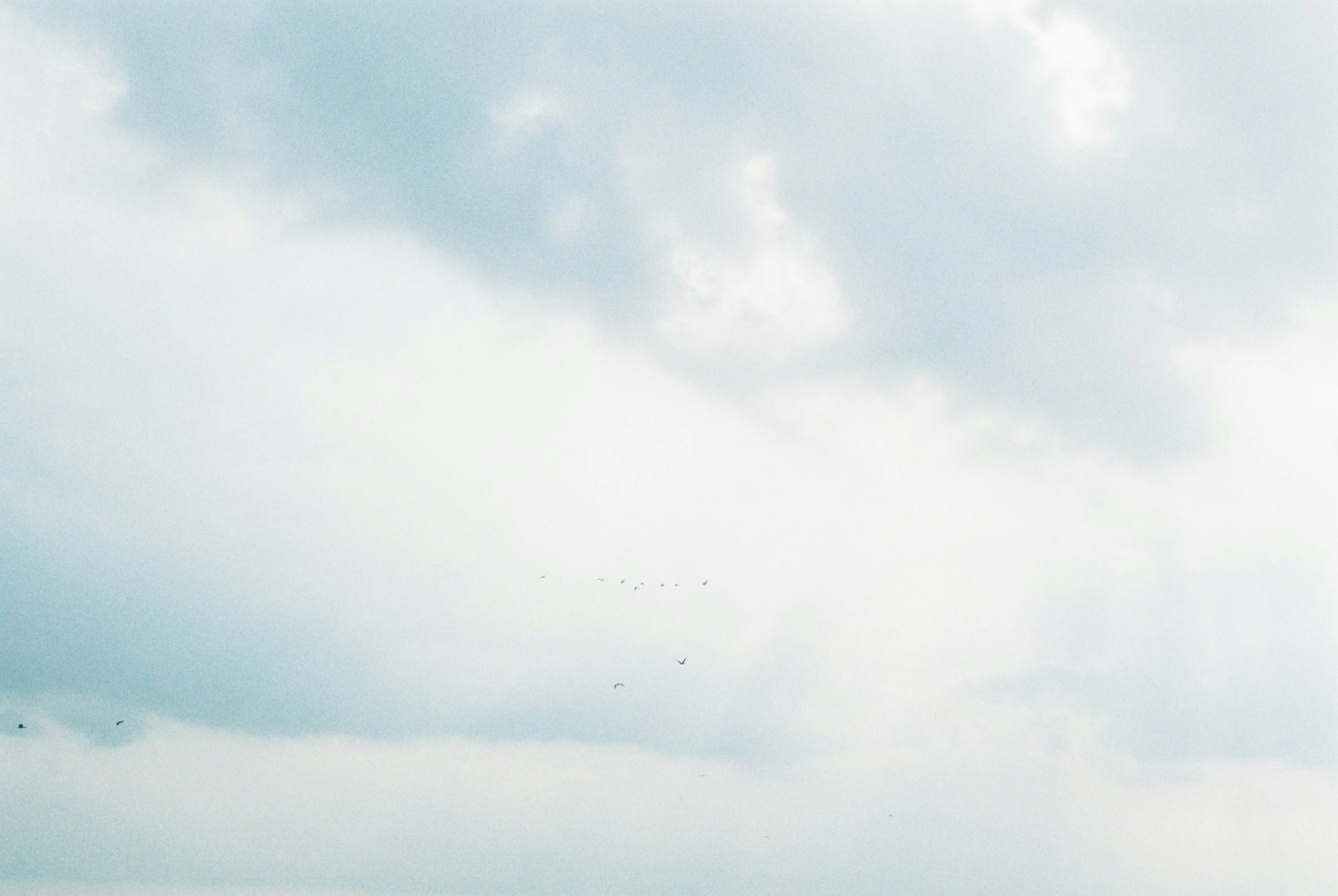 青白い雲が広がる穏やかな空の風景