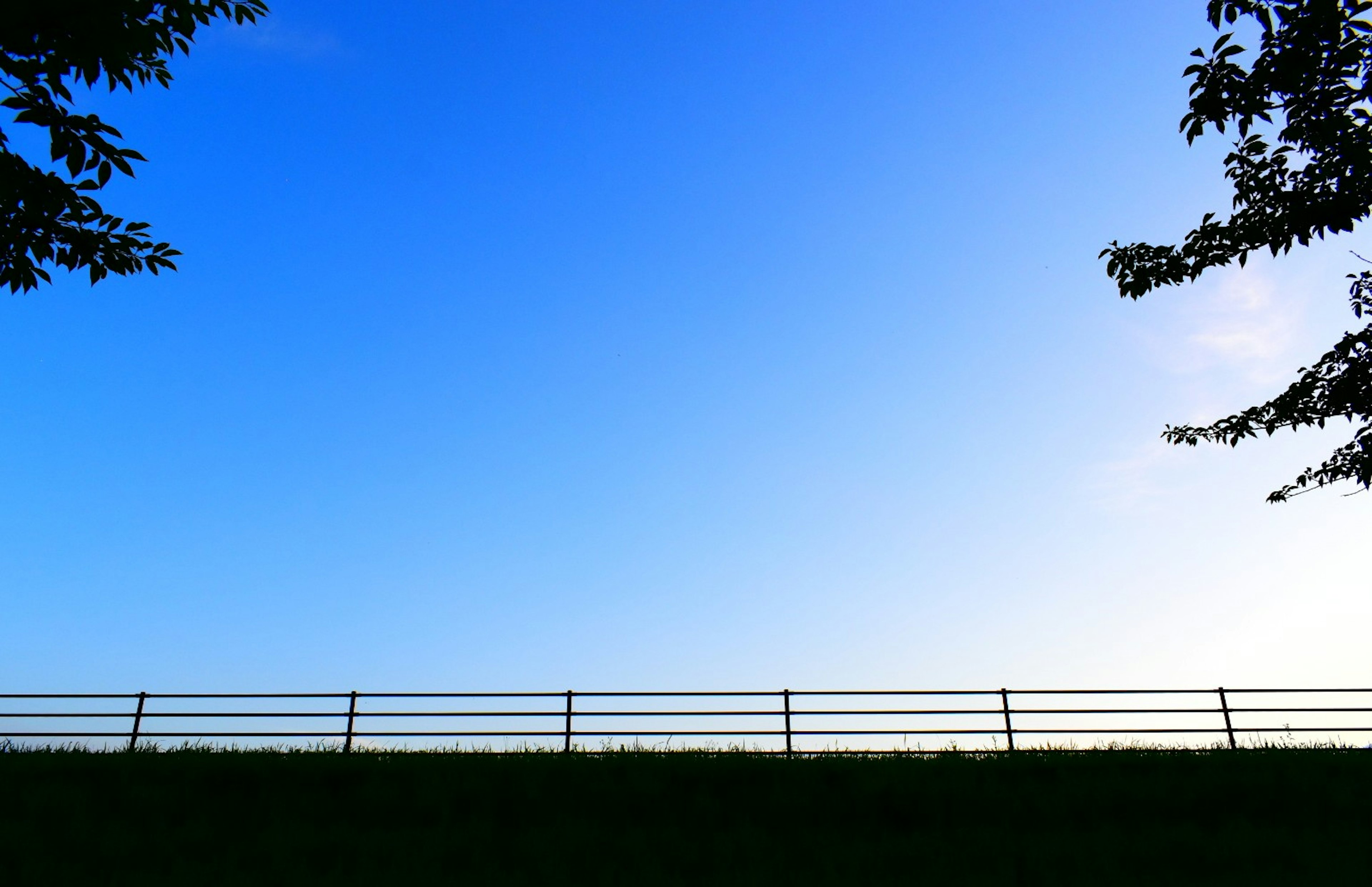 Silhouette d'une clôture contre un ciel bleu et une herbe verte