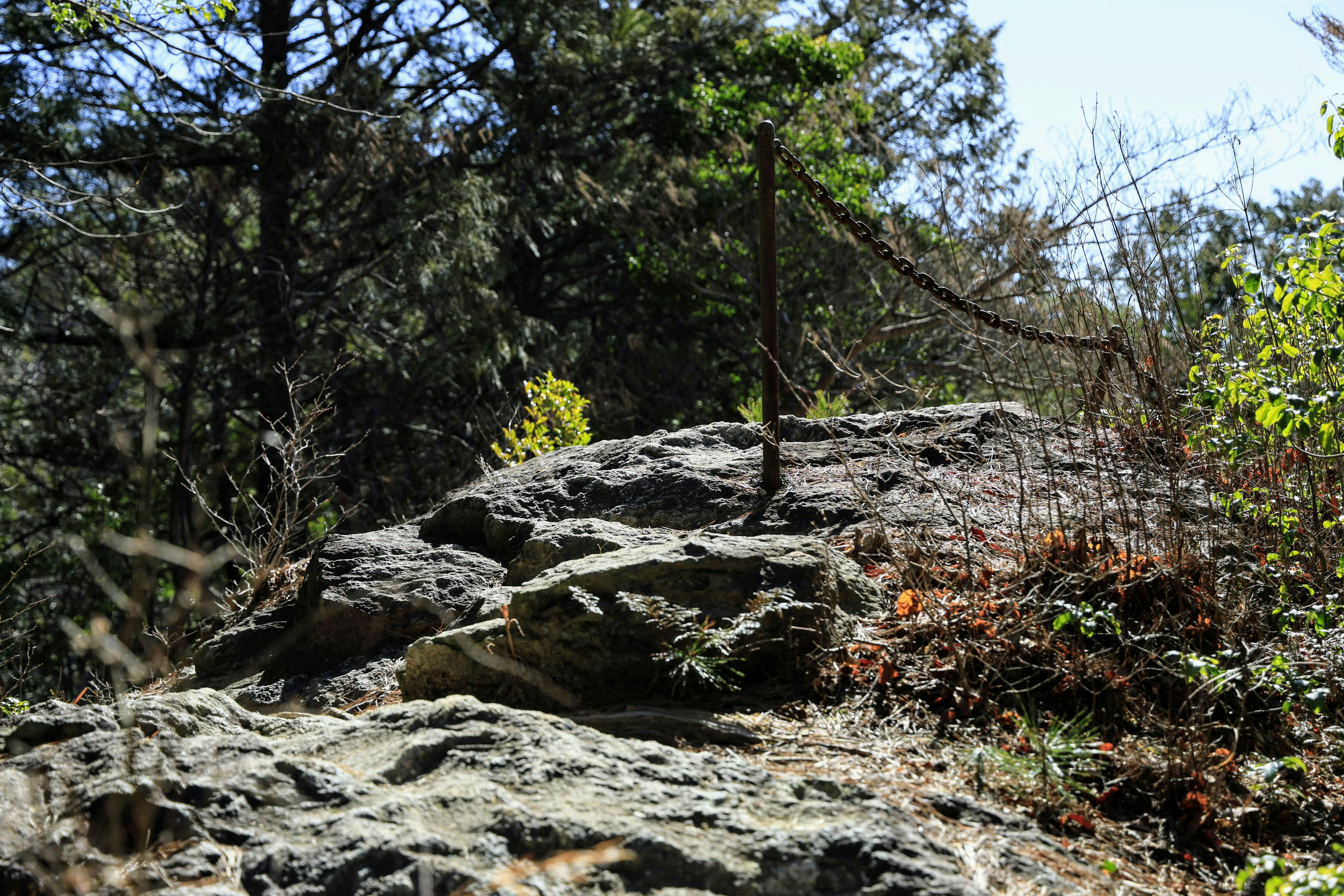 Natural landscape featuring rocks and green trees