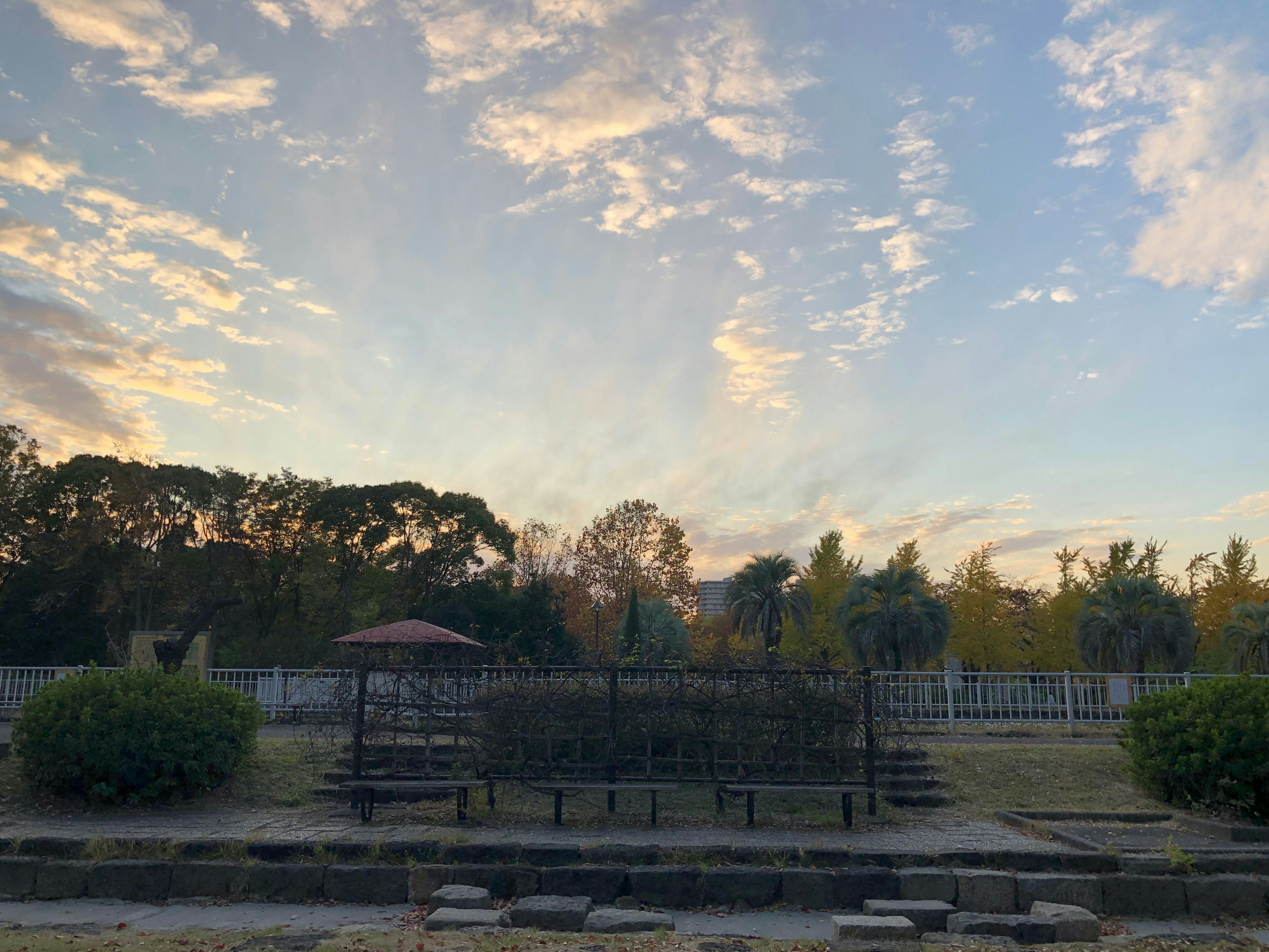 Parklandschaft mit blauem Himmel und Wolken mit Pflanzen und Sitzbereich