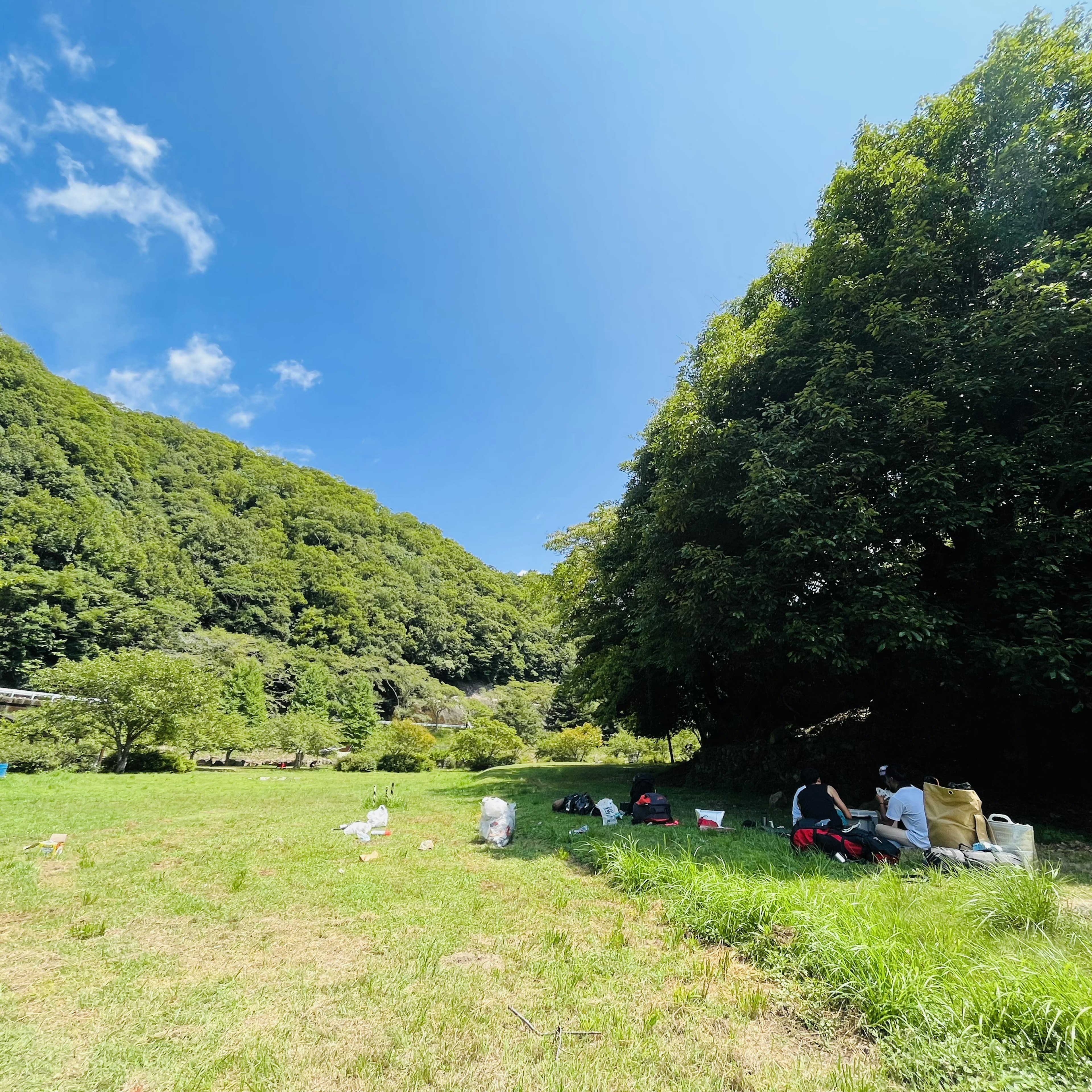 青空の下で緑の草原に座っている人々と大きな木