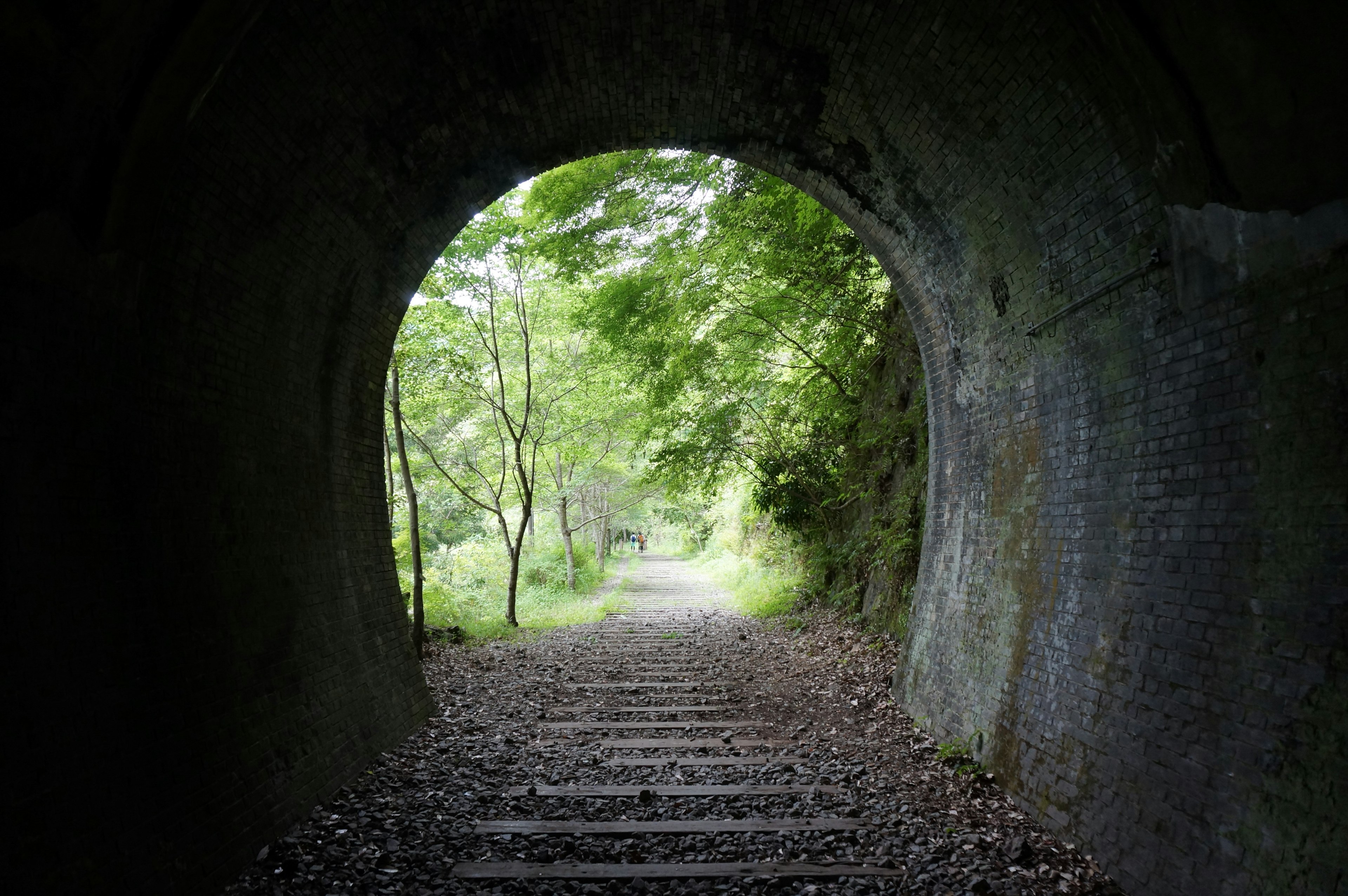 通过隧道的景色，绿树和小路