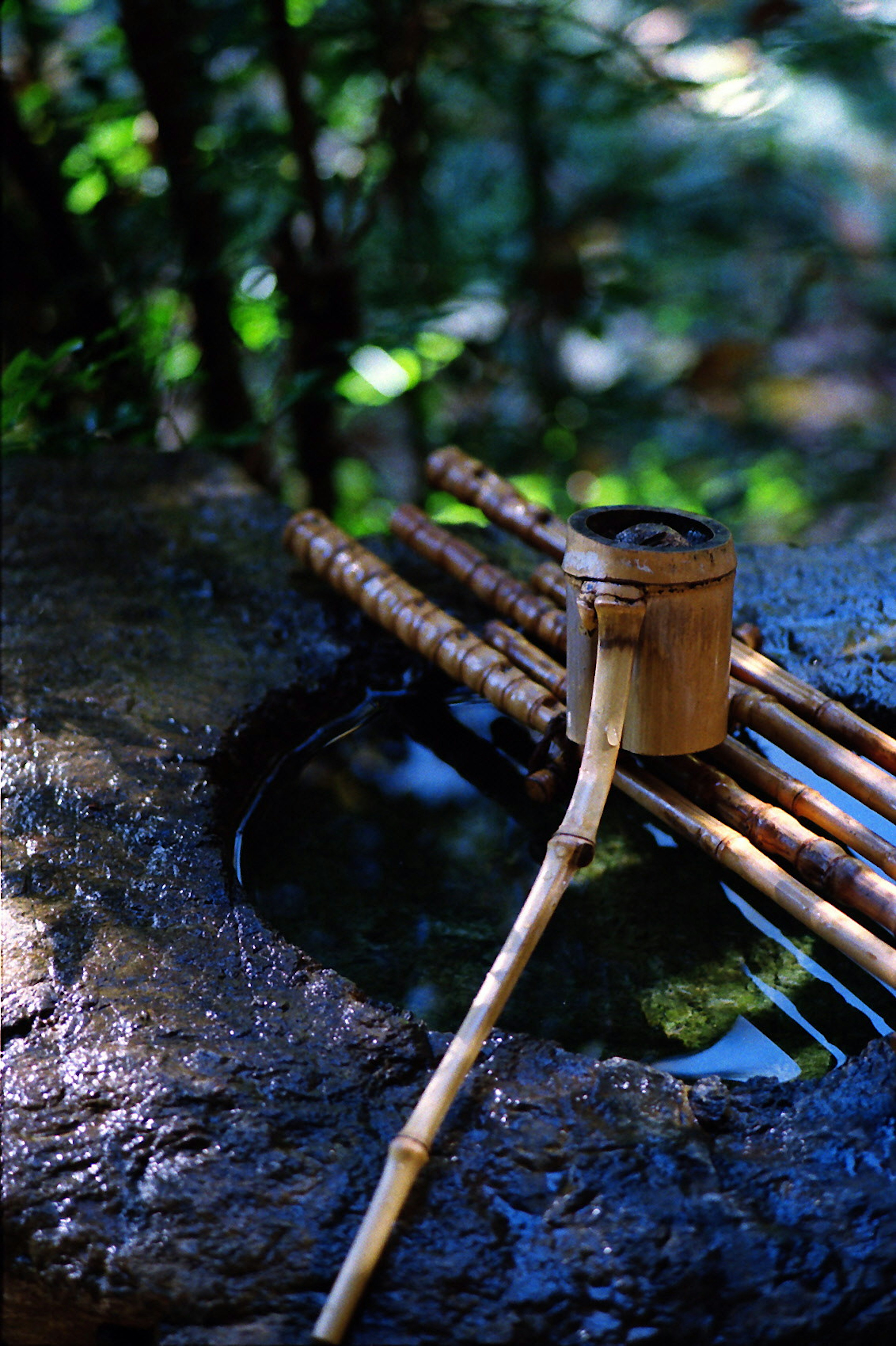 Herramientas de recolección de agua de bambú sobre un estanque de piedra en un entorno verde