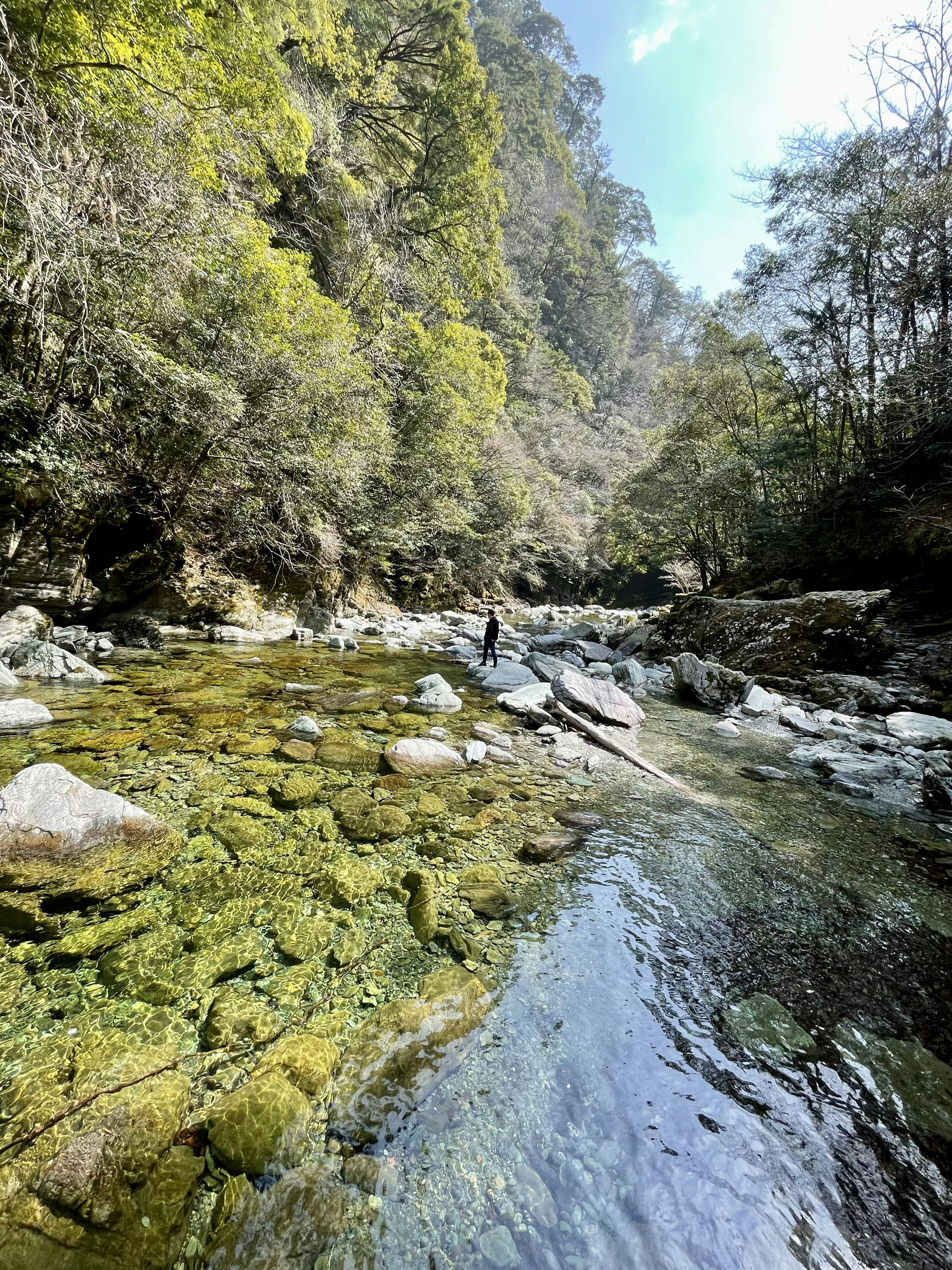 Río claro rodeado de árboles verdes en un paisaje natural