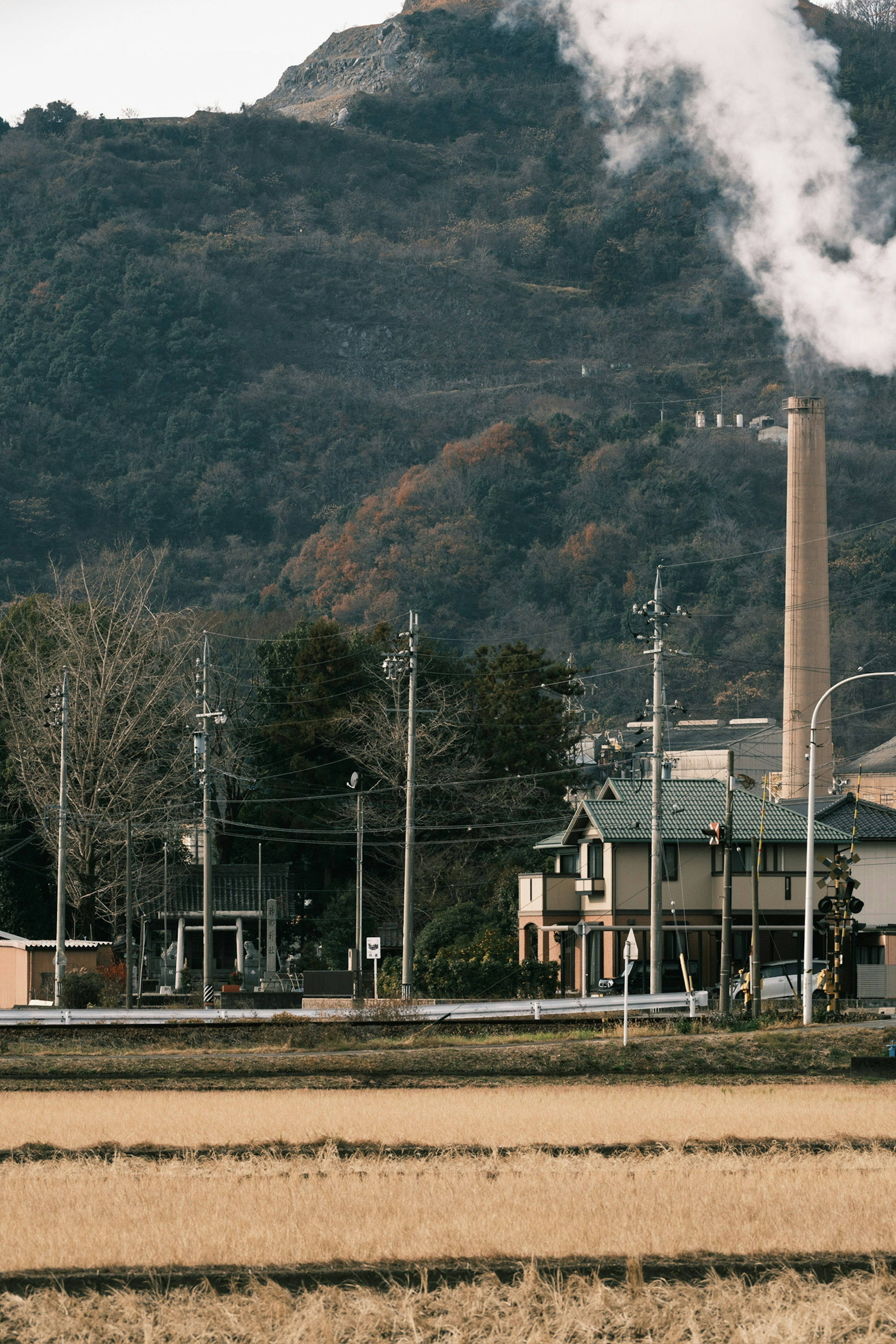 Paysage avec une usine émettant de la fumée et des rizières devant un paysage montagneux