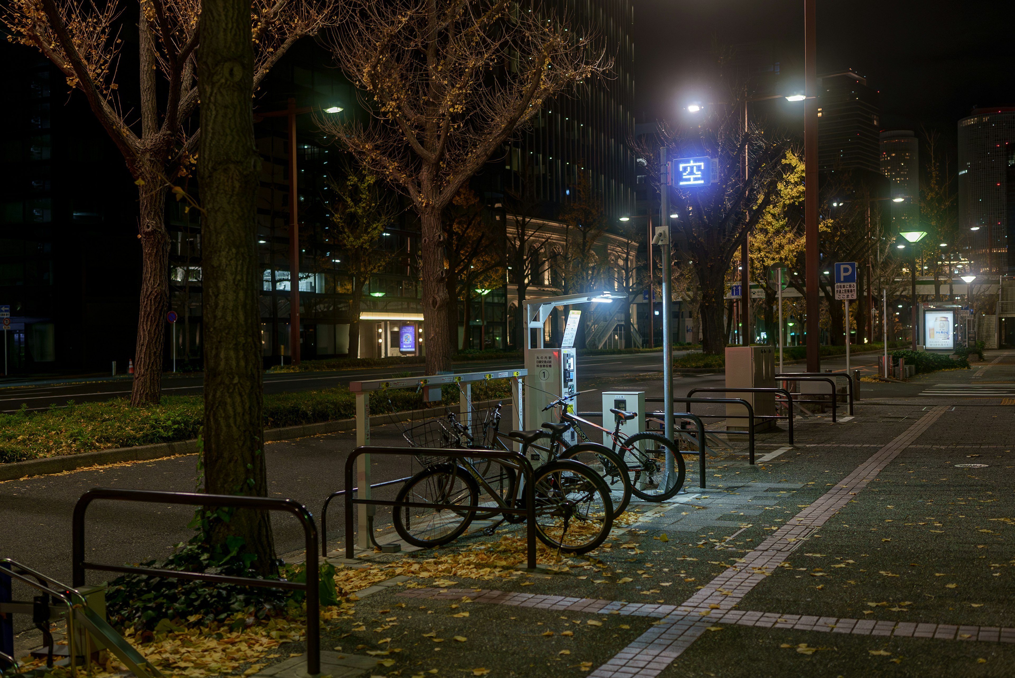 Bicycles parked in a nighttime urban park with autumn leaves