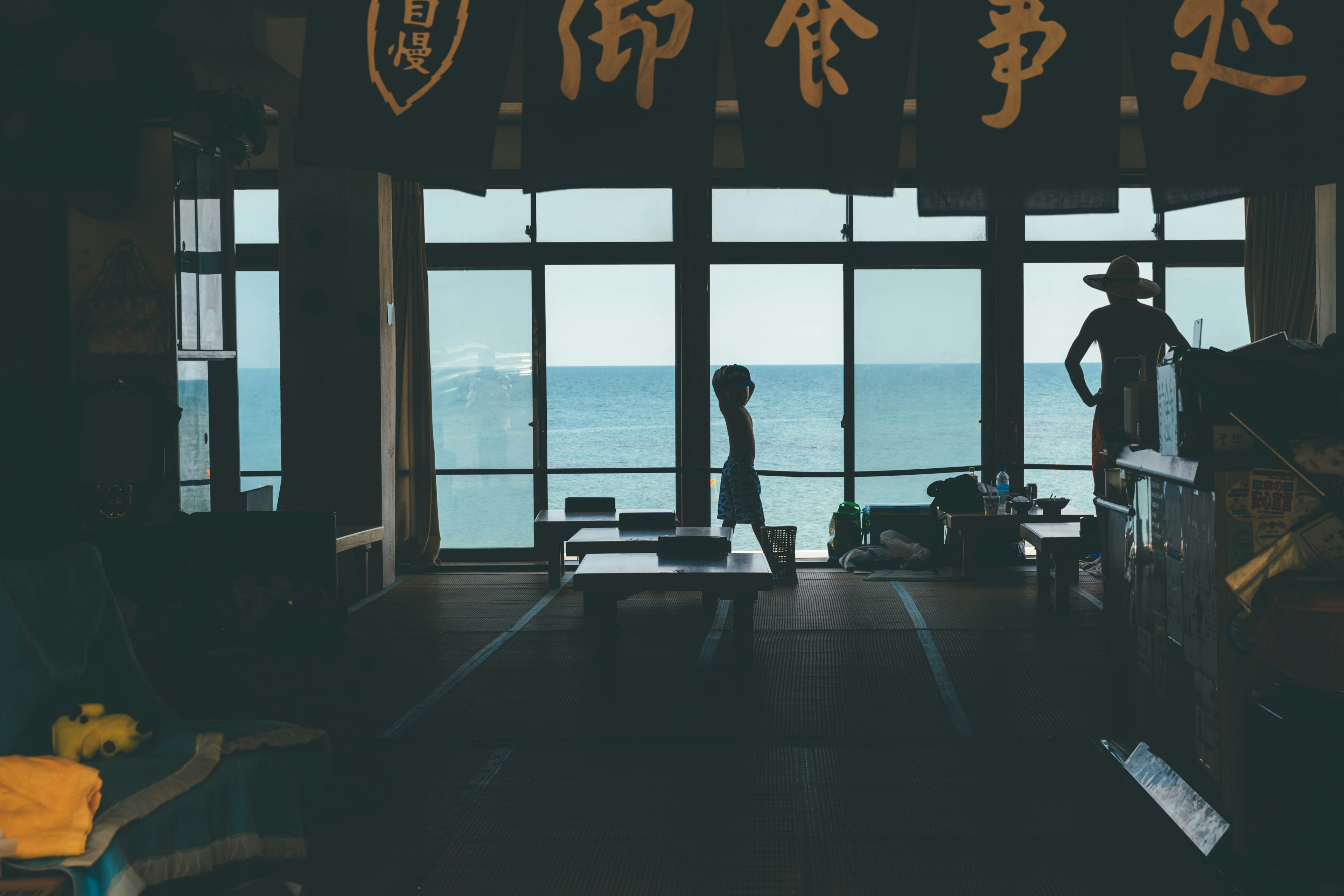 Silhouette of a person gazing at the sea from an interior space