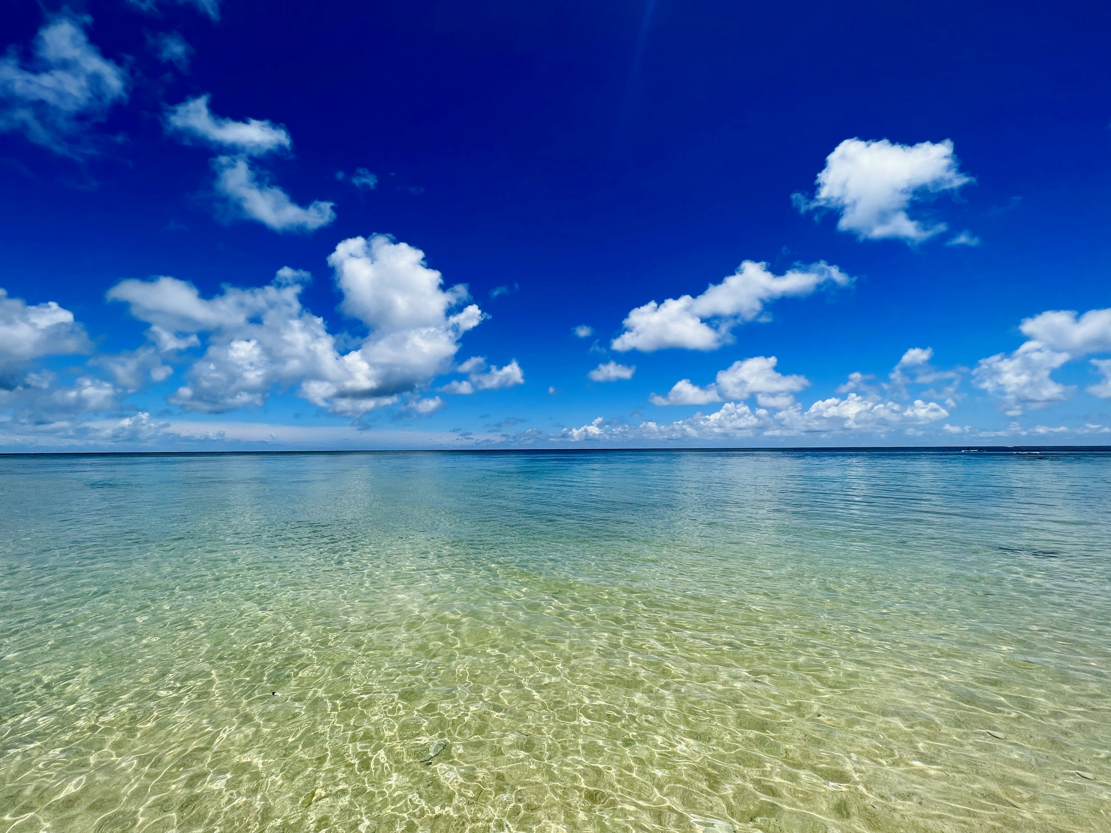 澄んだ海と青い空が広がる風景