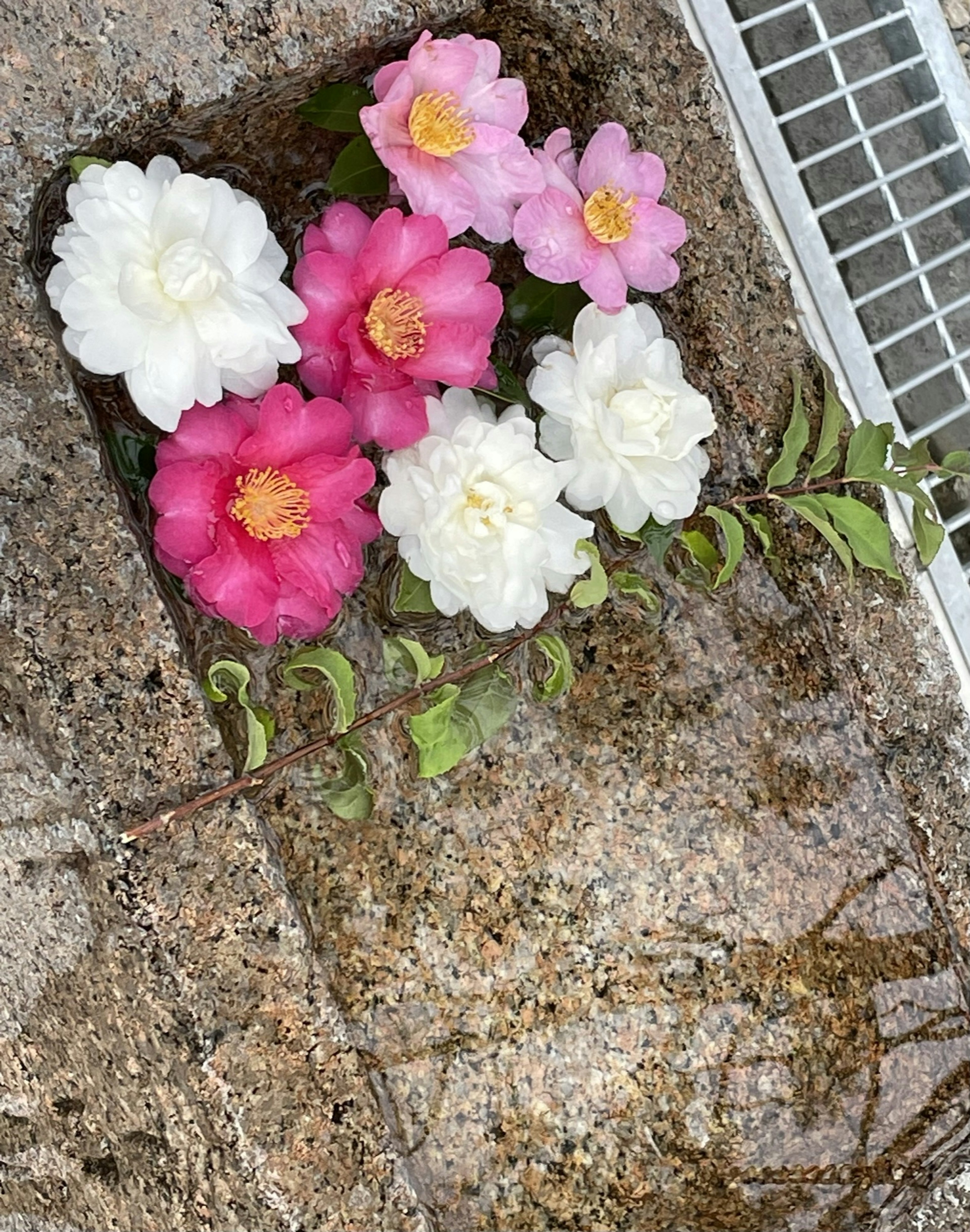 Beautiful arrangement of white and pink flowers floating in water