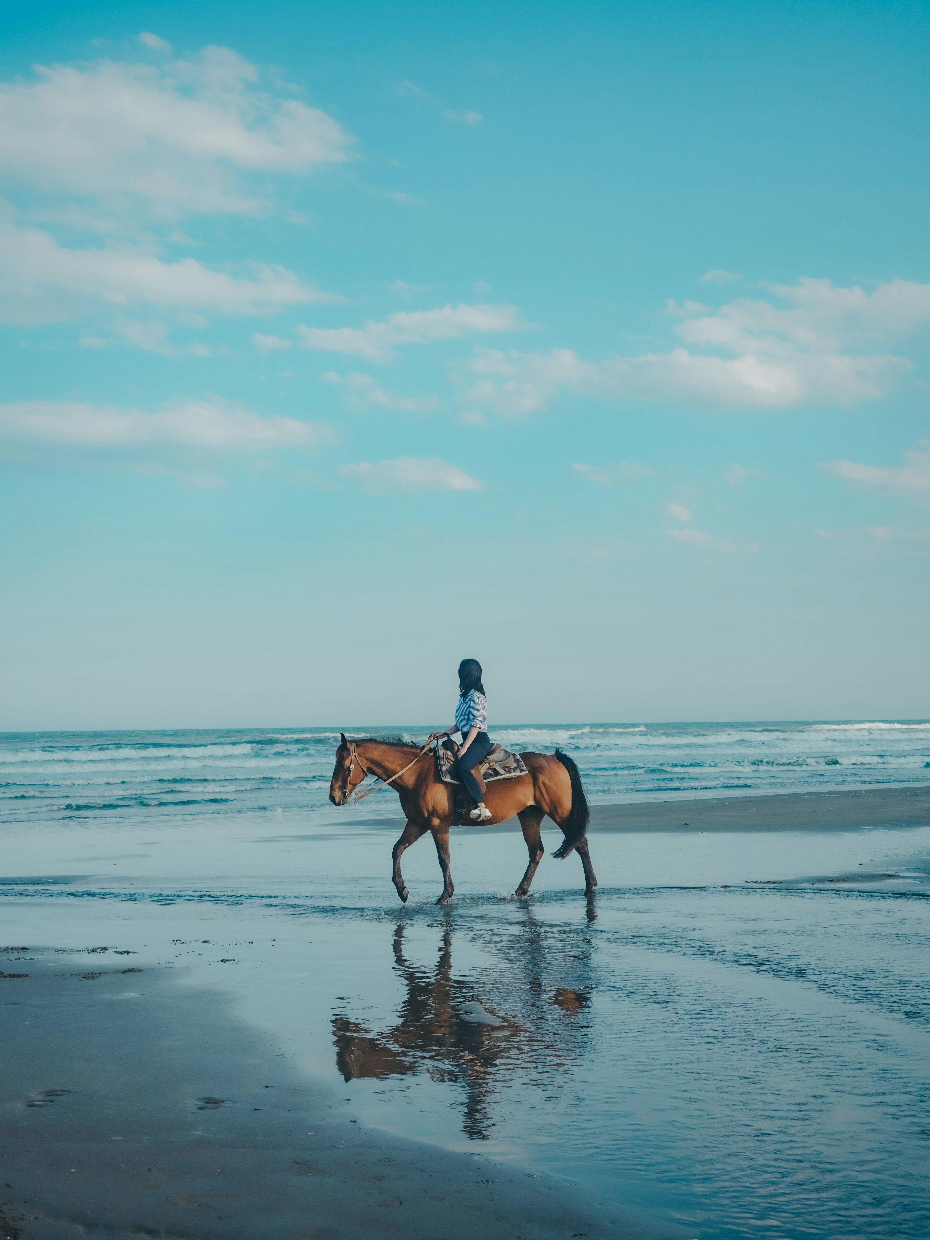 A person riding a horse along the beach with blue sky and ocean reflections