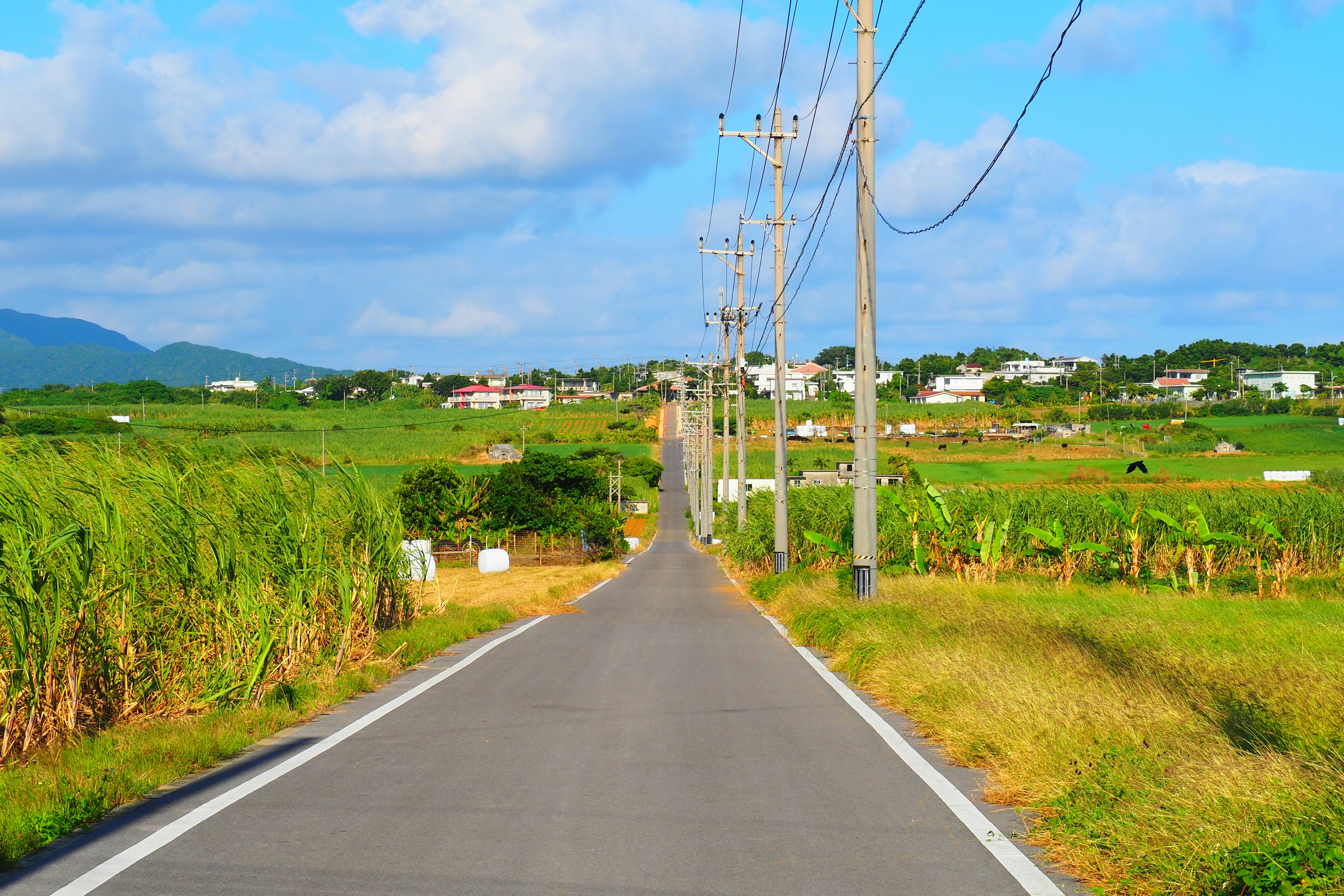 Rural landscape under blue sky with straight road