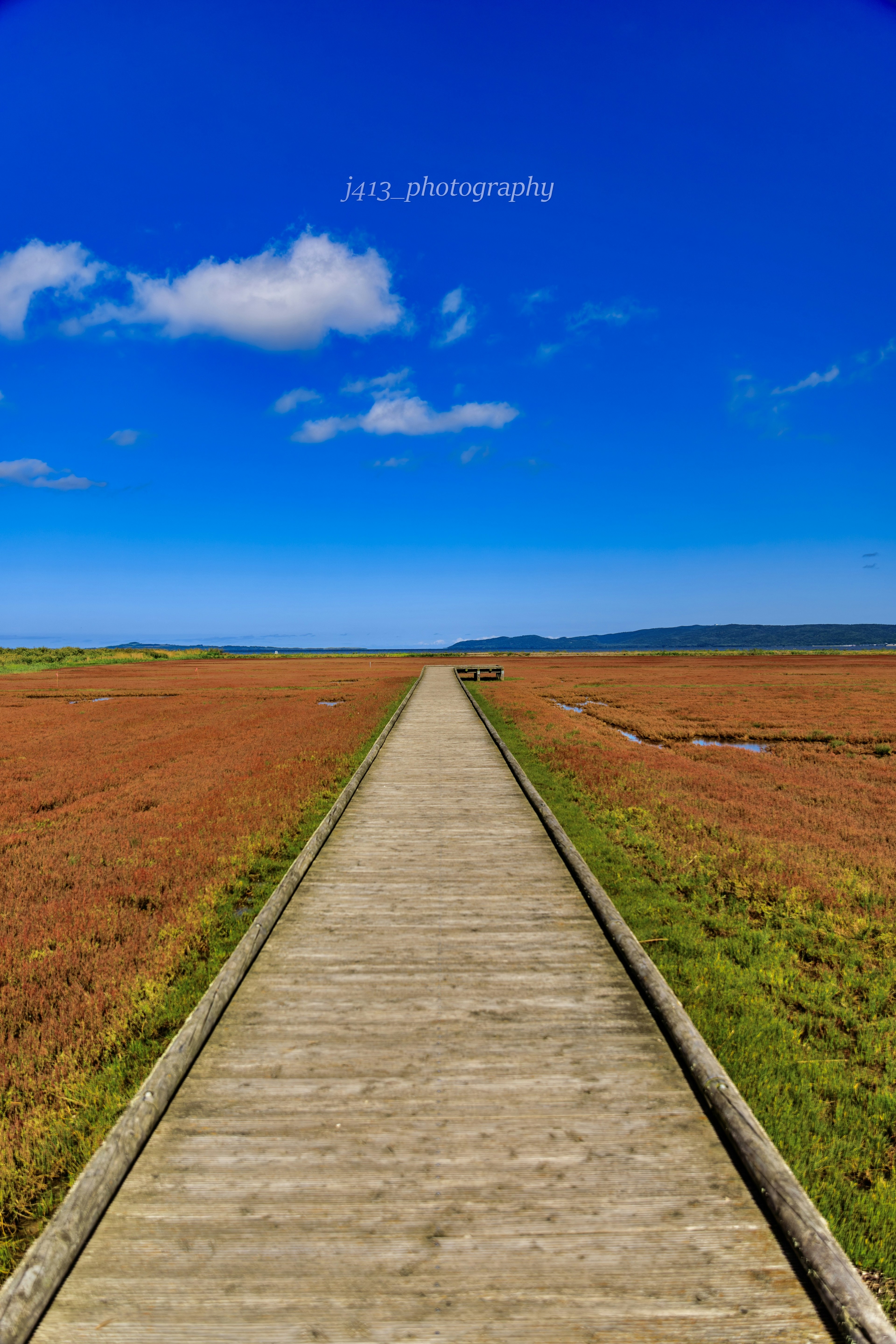 Un largo camino de madera se extiende bajo un cielo azul rodeado de hierba marrón y plantas verdes