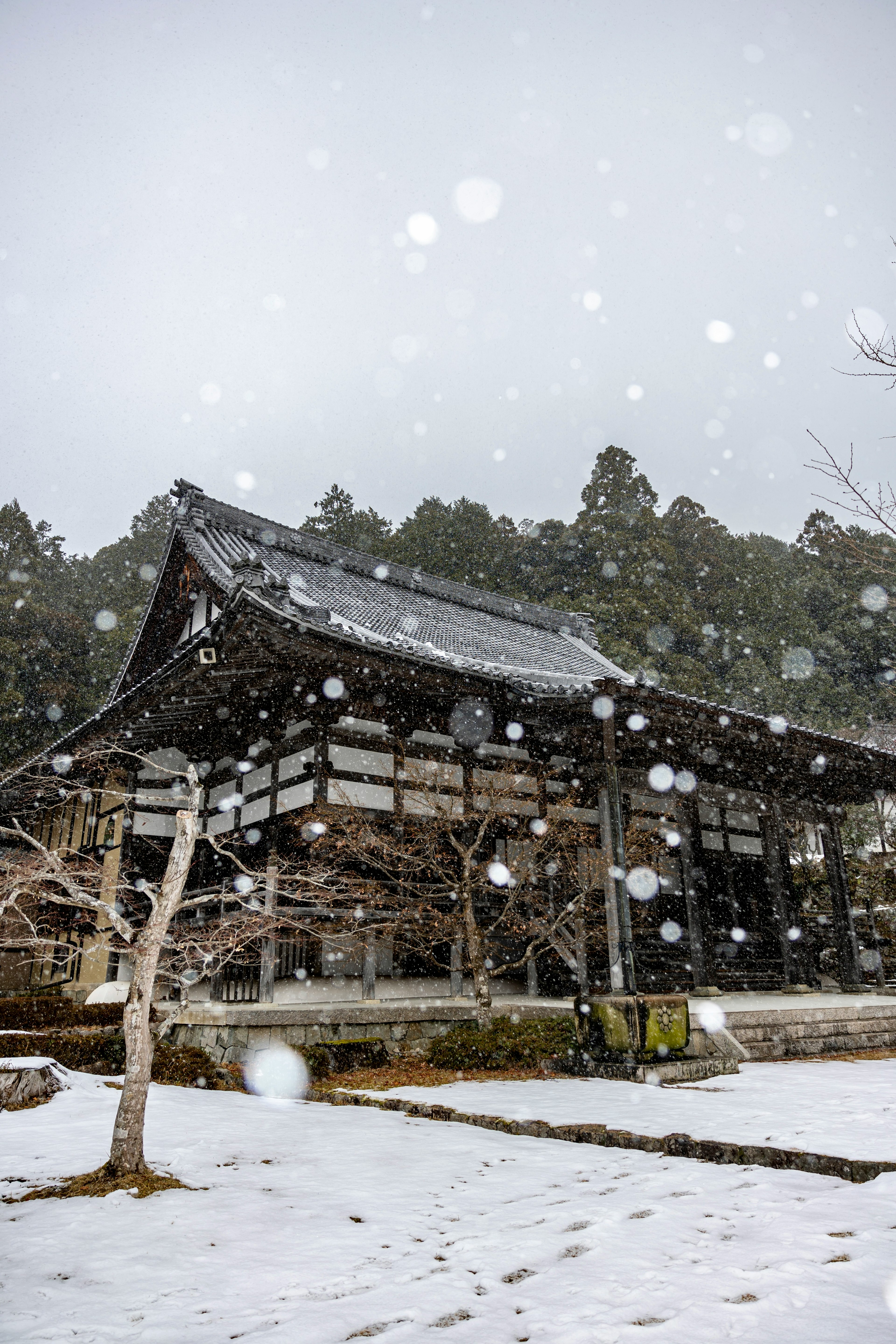 Traditional Japanese building surrounded by snow and trees