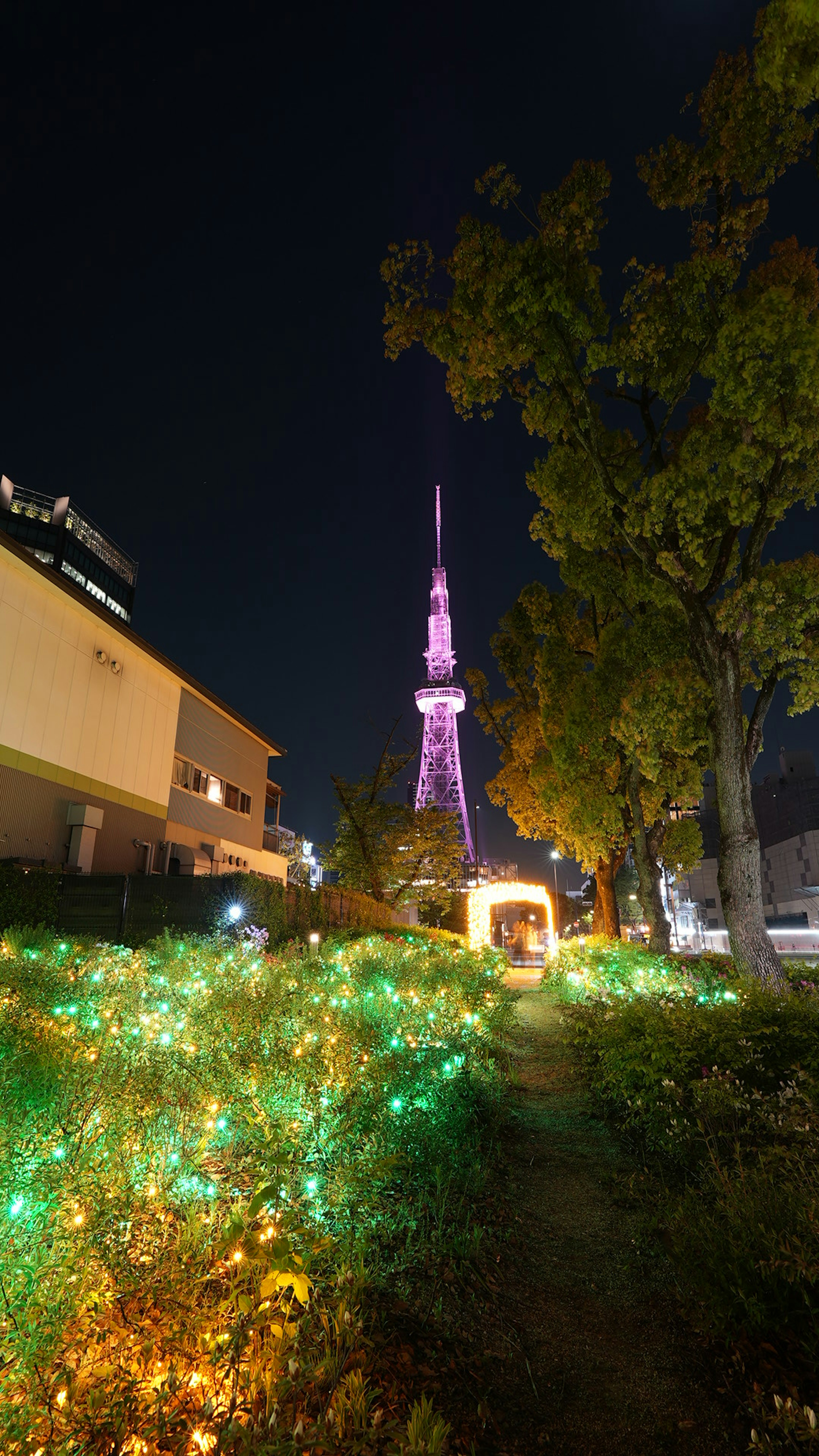 夜の東京タワーが紫色にライトアップされている緑の庭