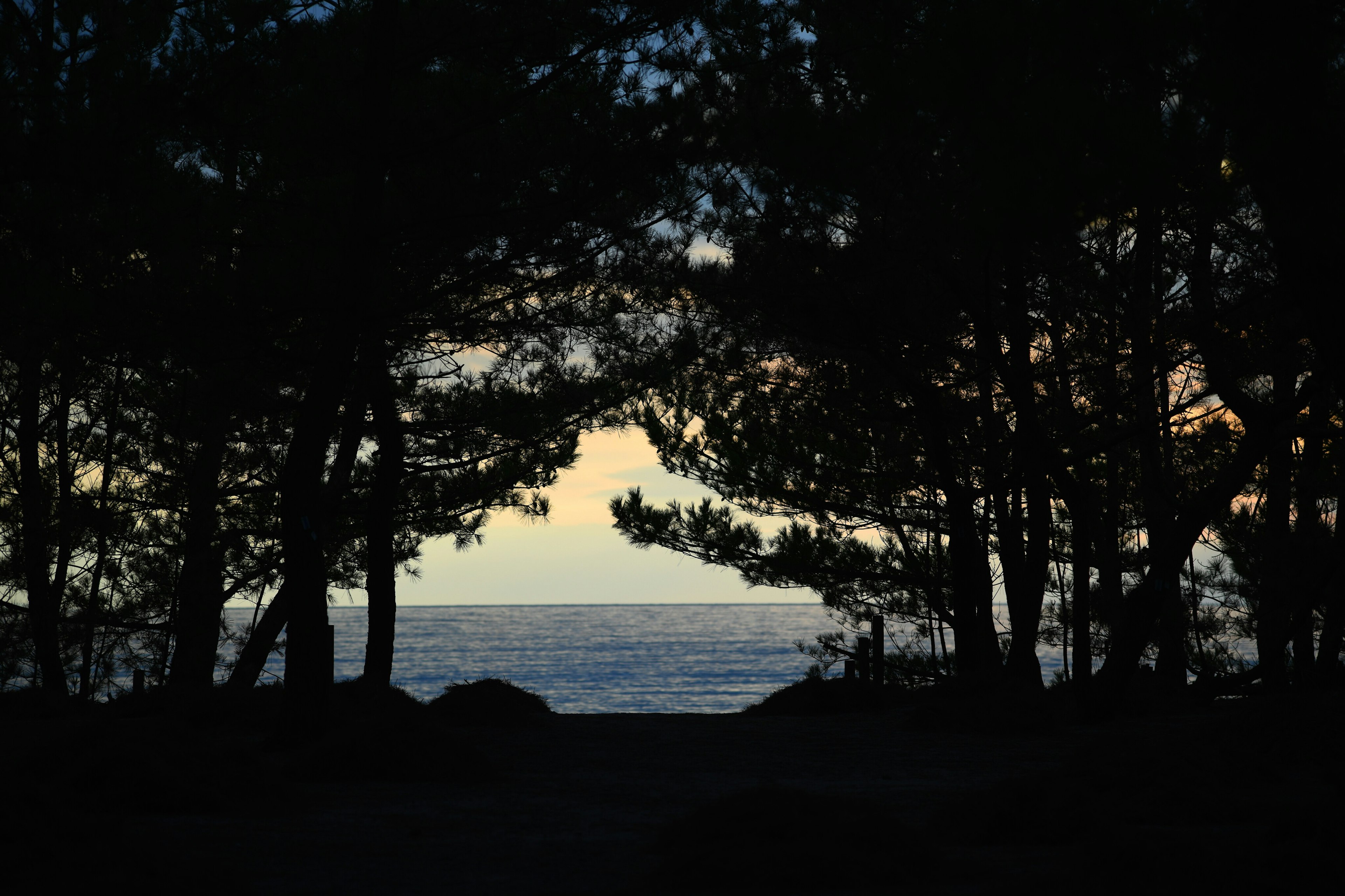 海を背景にした木々のシルエットと夕暮れの空