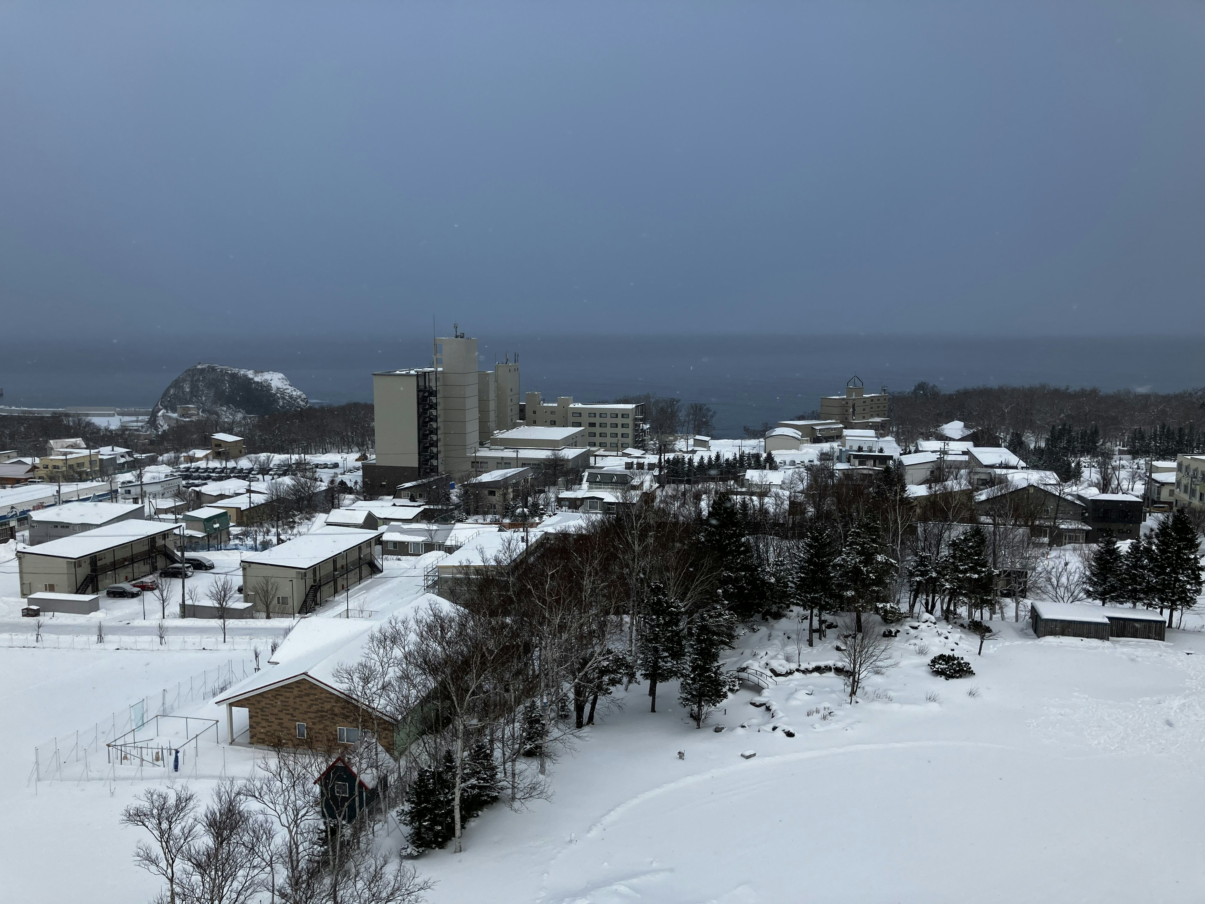 雪に覆われた町と海の風景