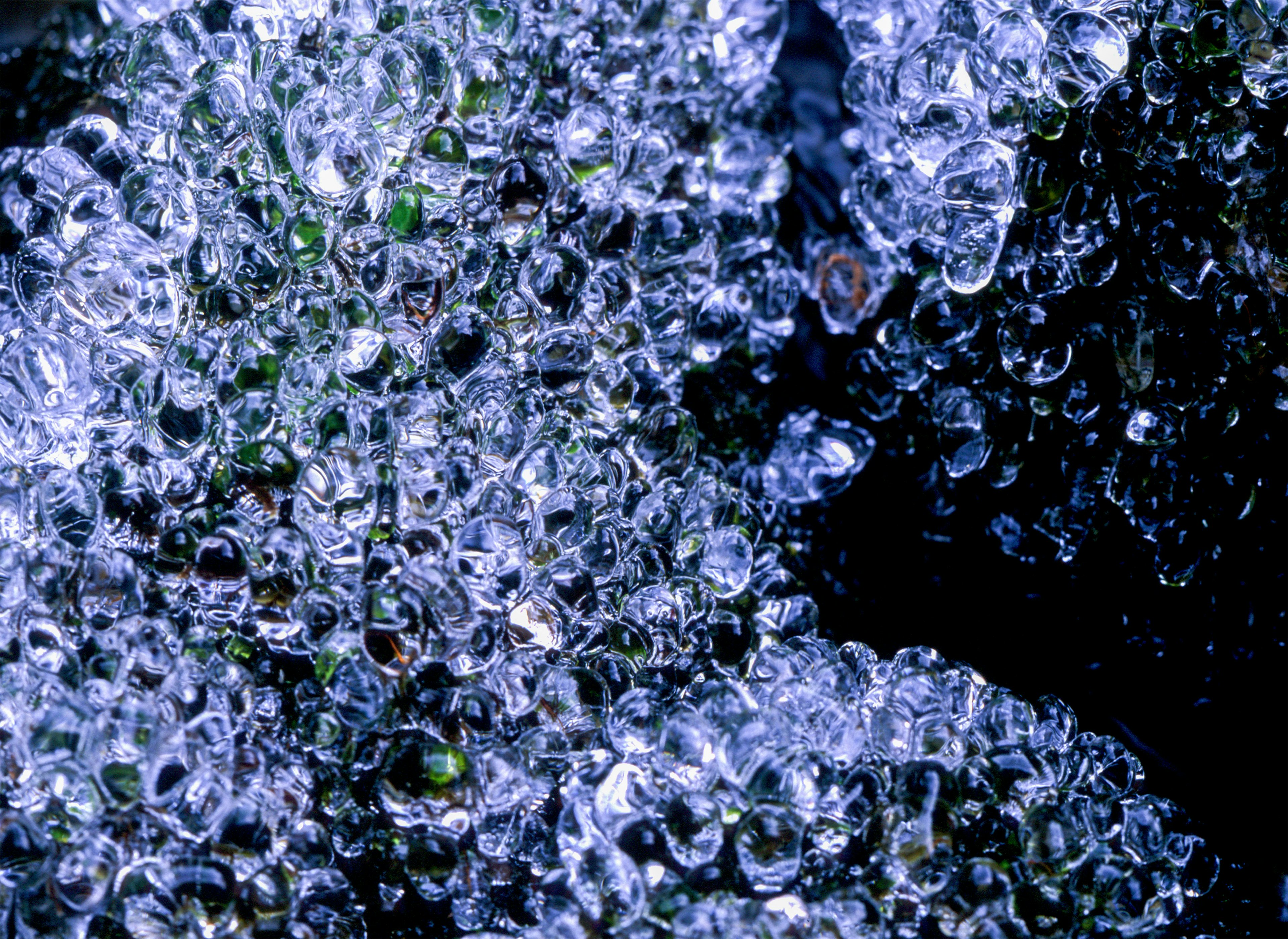 Nahaufnahme von Wassertropfen auf einer Oberfläche mit grüner Vegetation