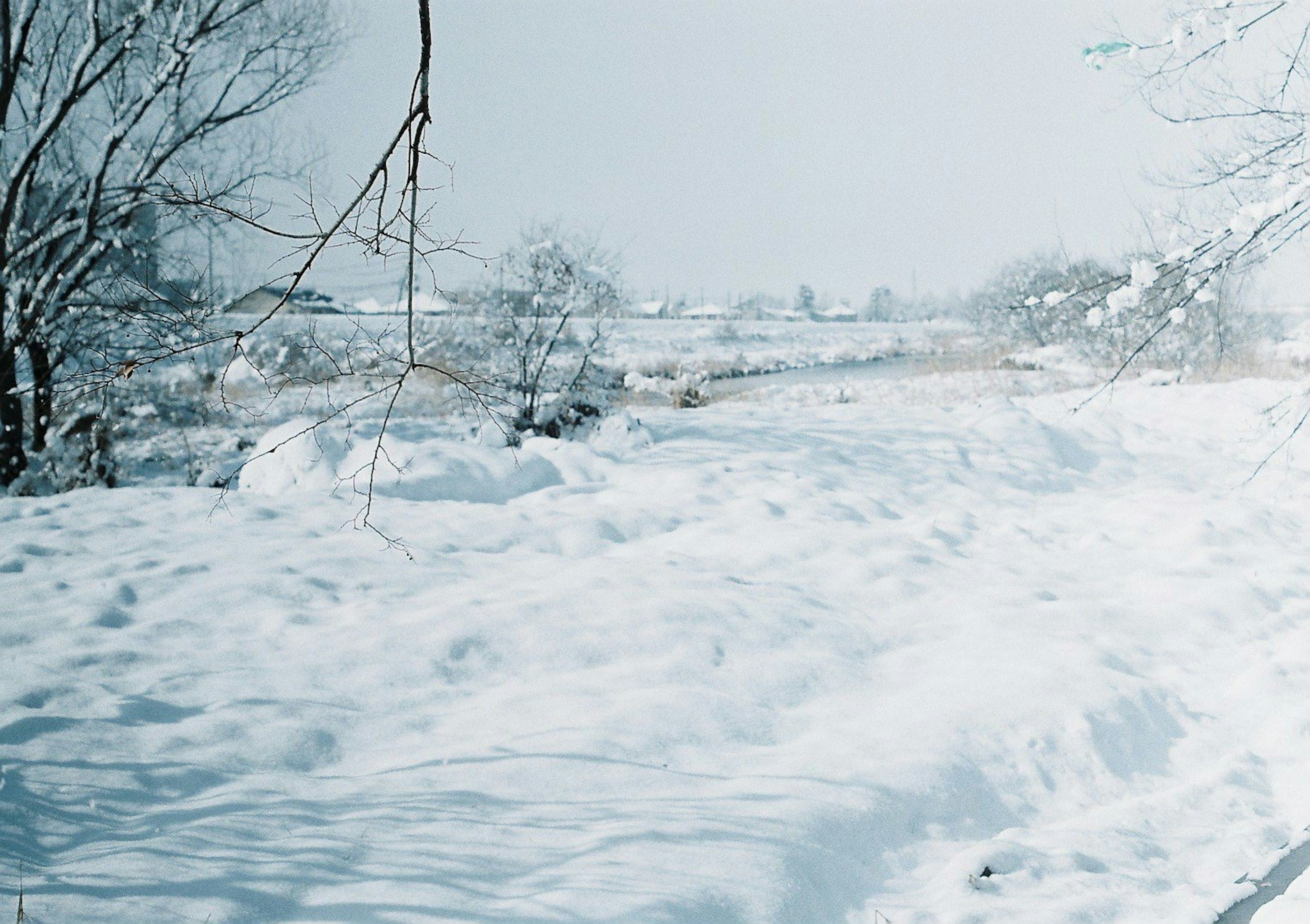 Paisaje cubierto de nieve con una atmósfera invernal serena