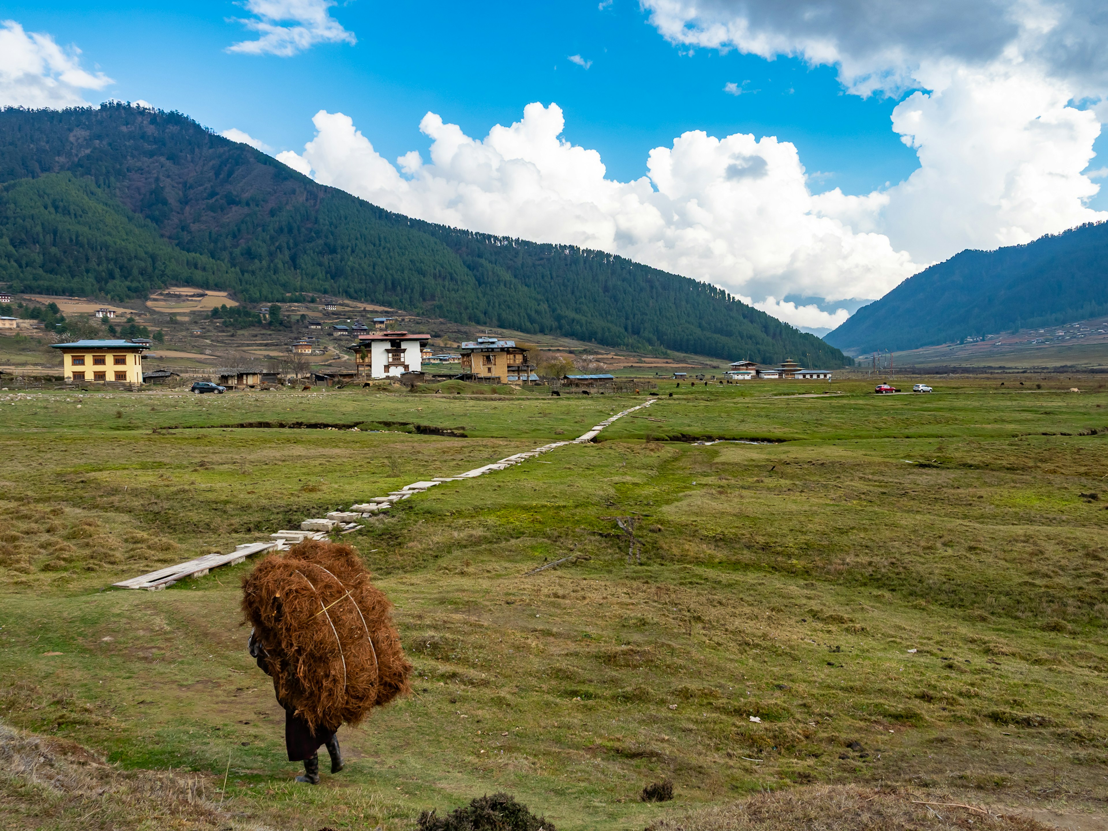 Person carrying hay in a vast meadow surrounded by mountains