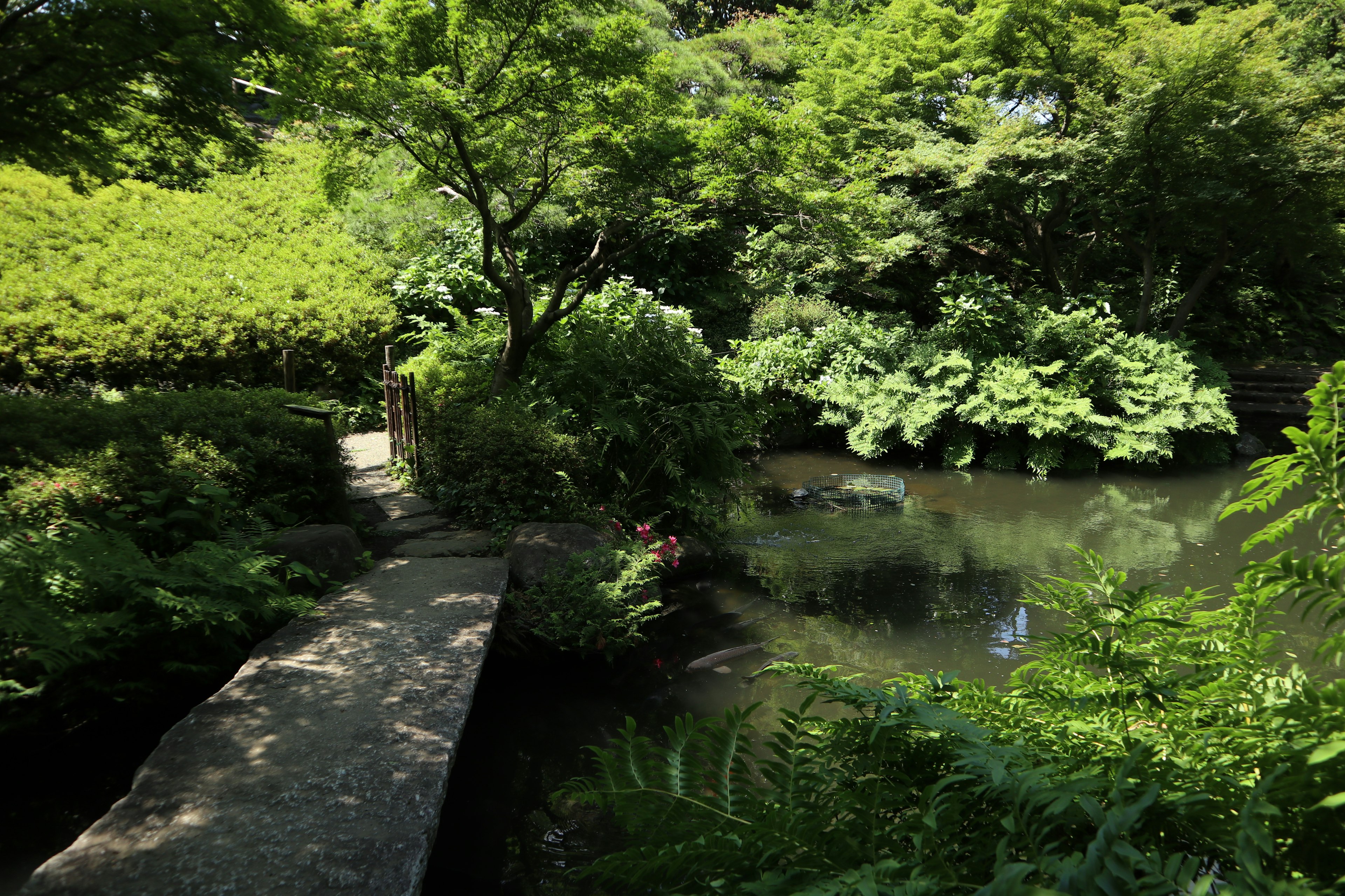 Üppige Parkszene mit einem kleinen Teich und einer Steinbrücke