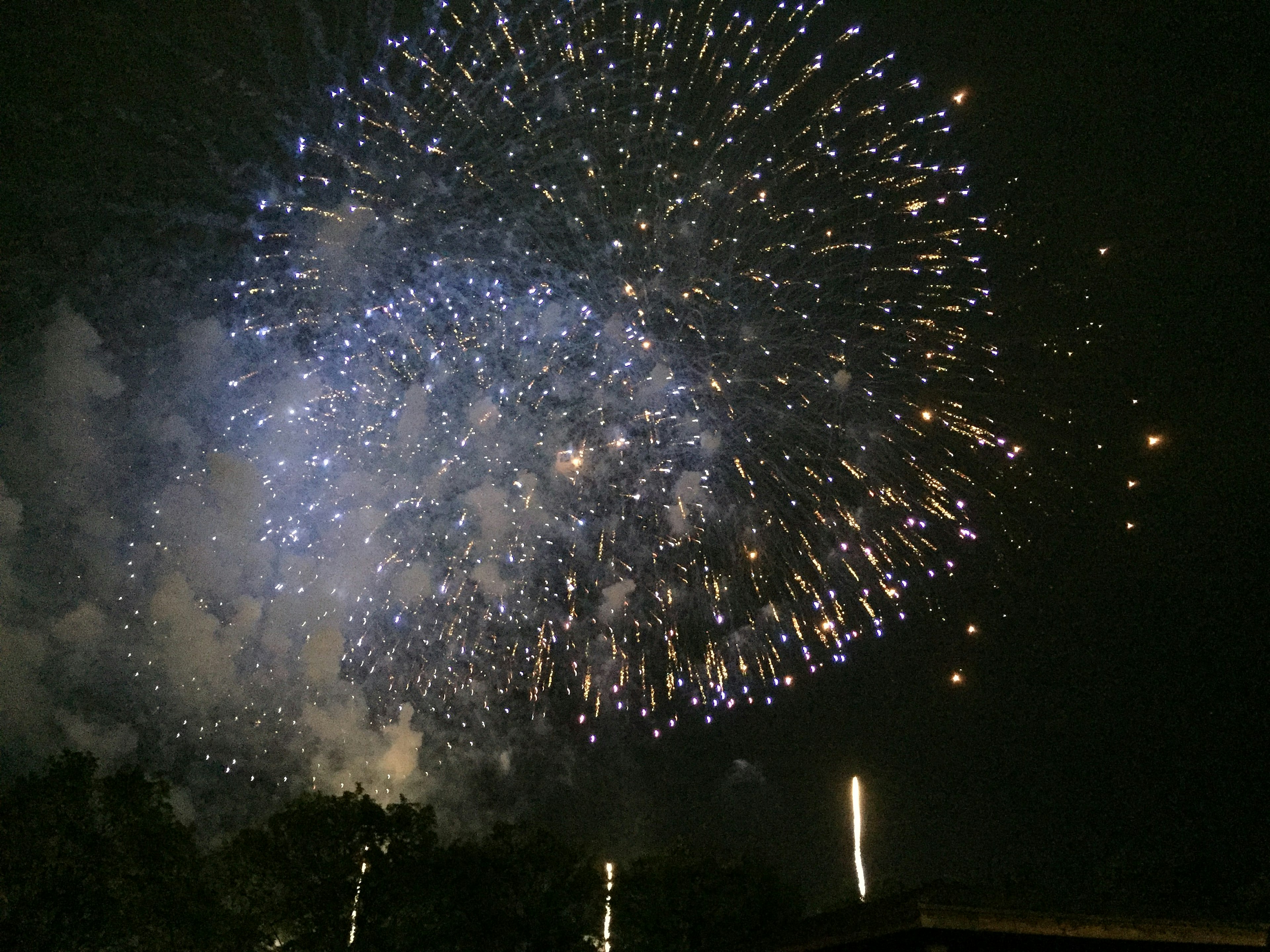 Spettacolo di fuochi d'artificio colorati nel cielo notturno con sfumature blu e dorate