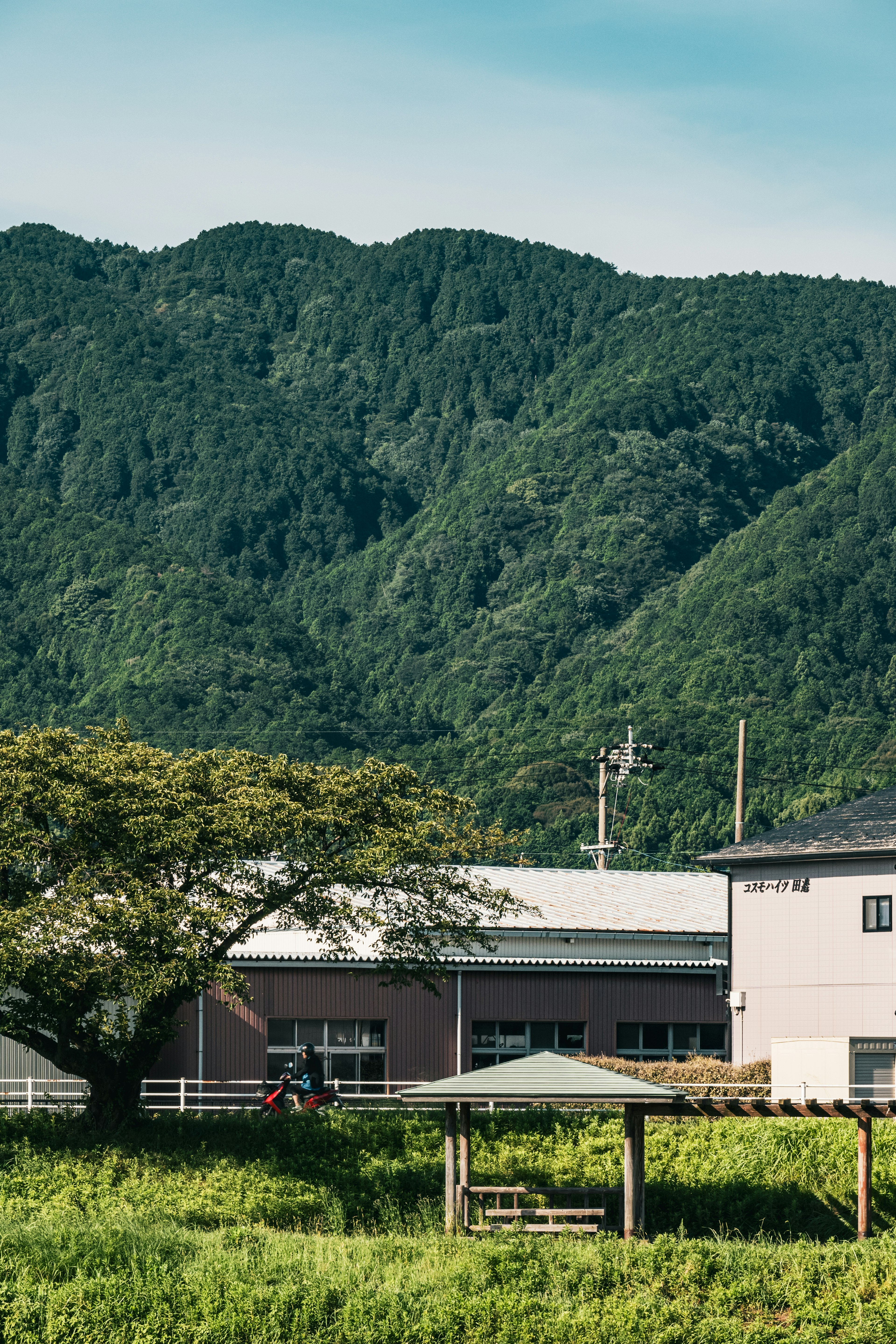 緑豊かな山々を背景にした農村の風景と建物