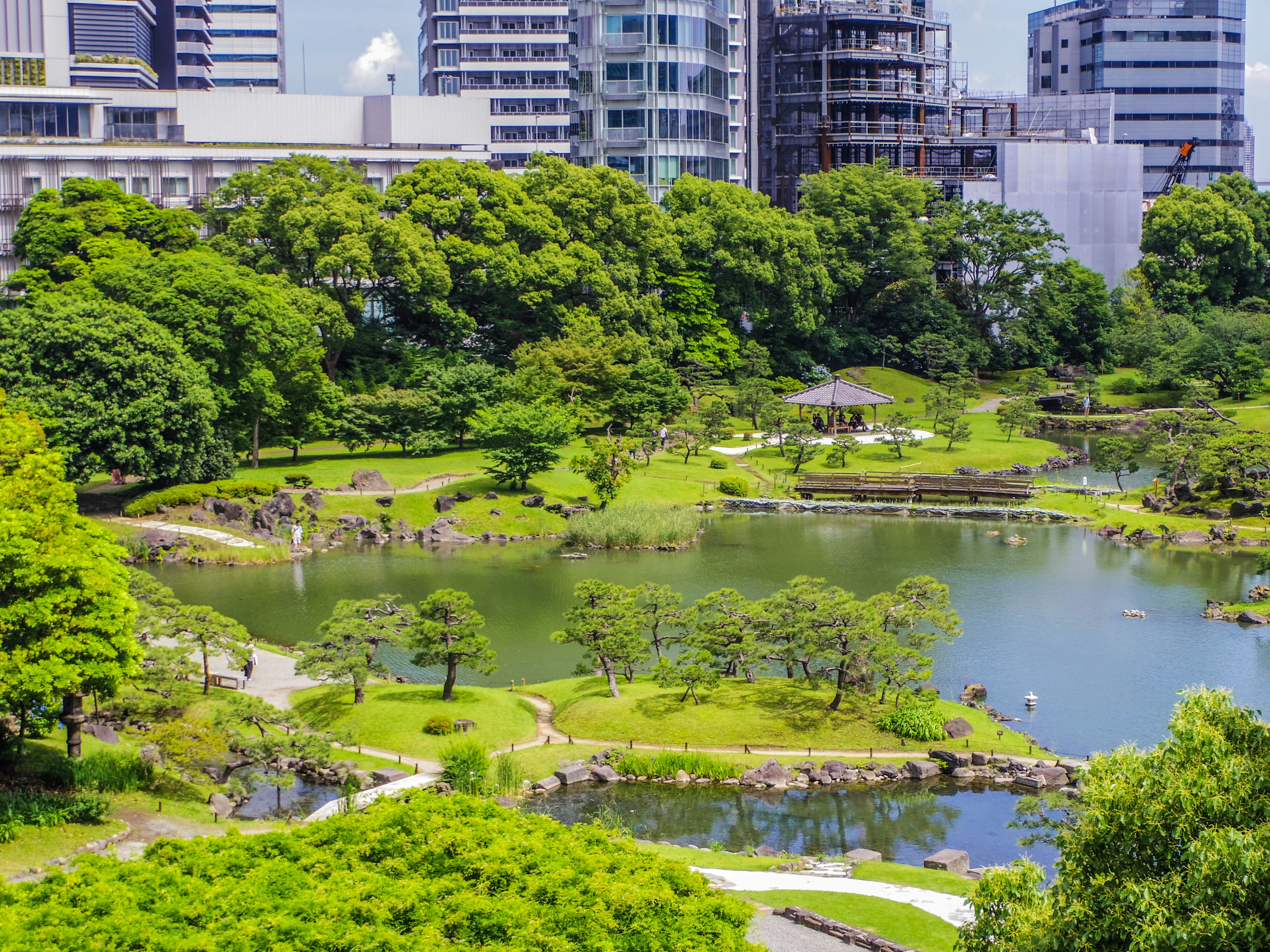 Vue d'un beau parc et d'un étang en milieu urbain