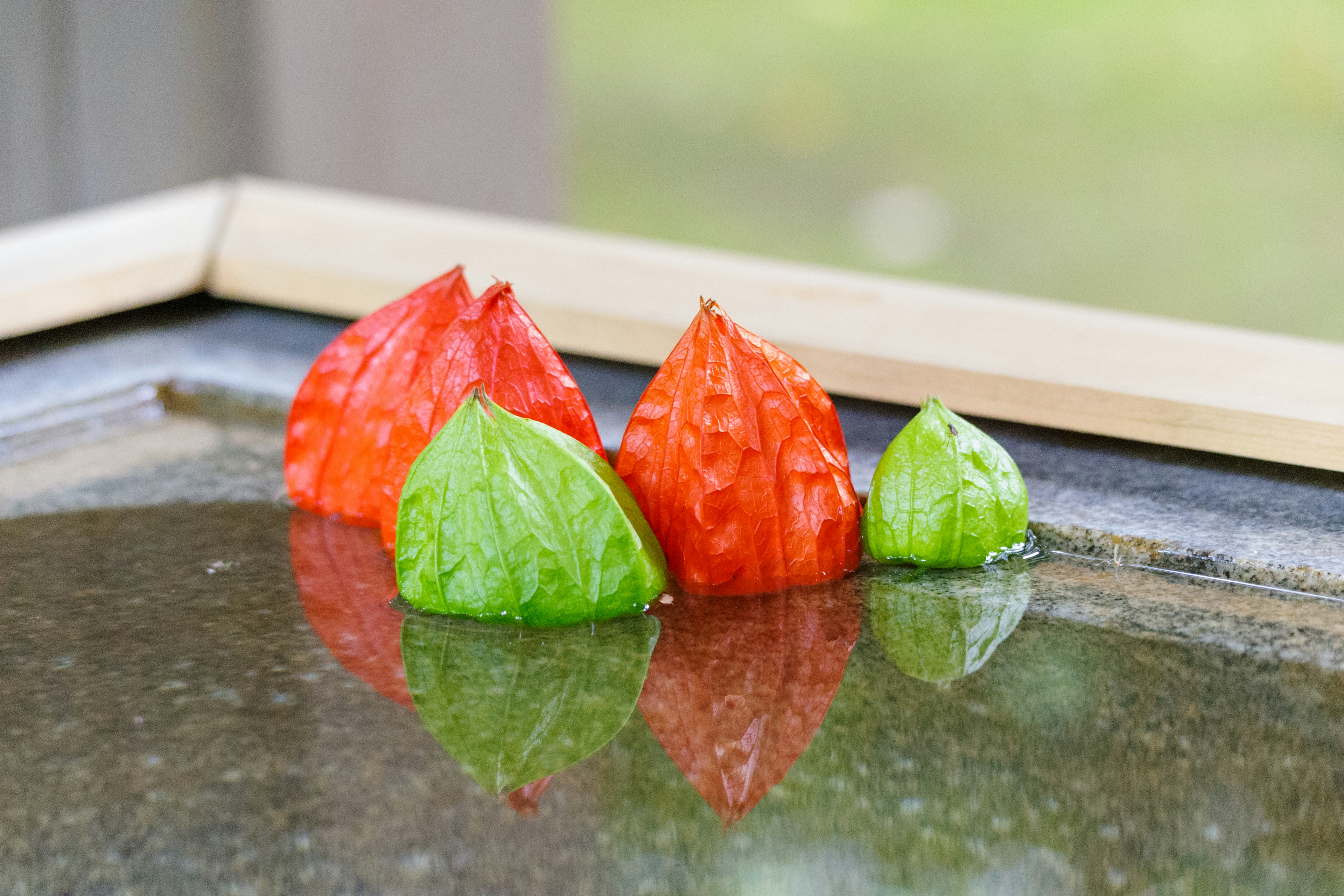 Floating red and green leaf-like objects on water with beautiful reflections