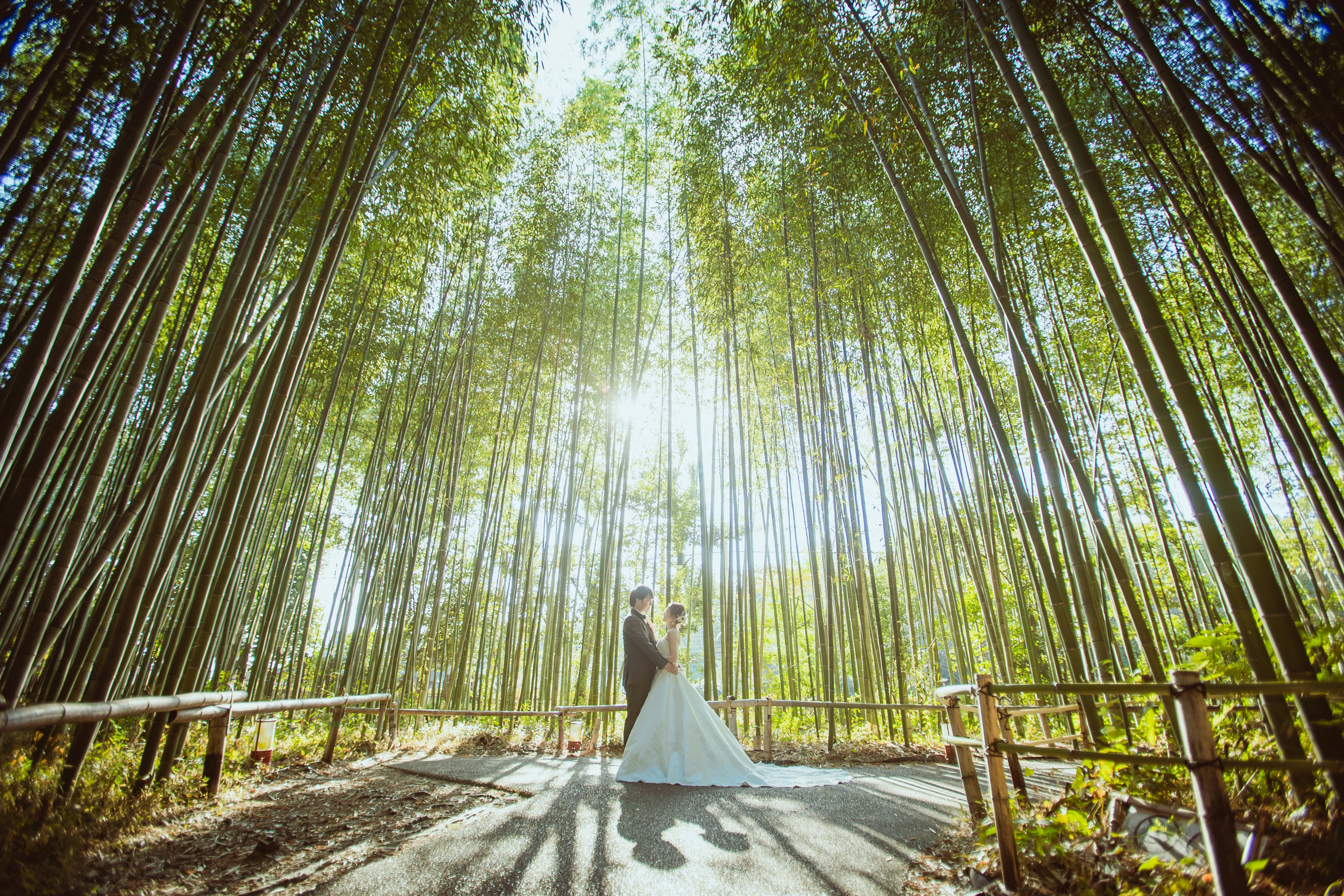 Siluet pasangan dalam pakaian pernikahan dikelilingi hutan bambu