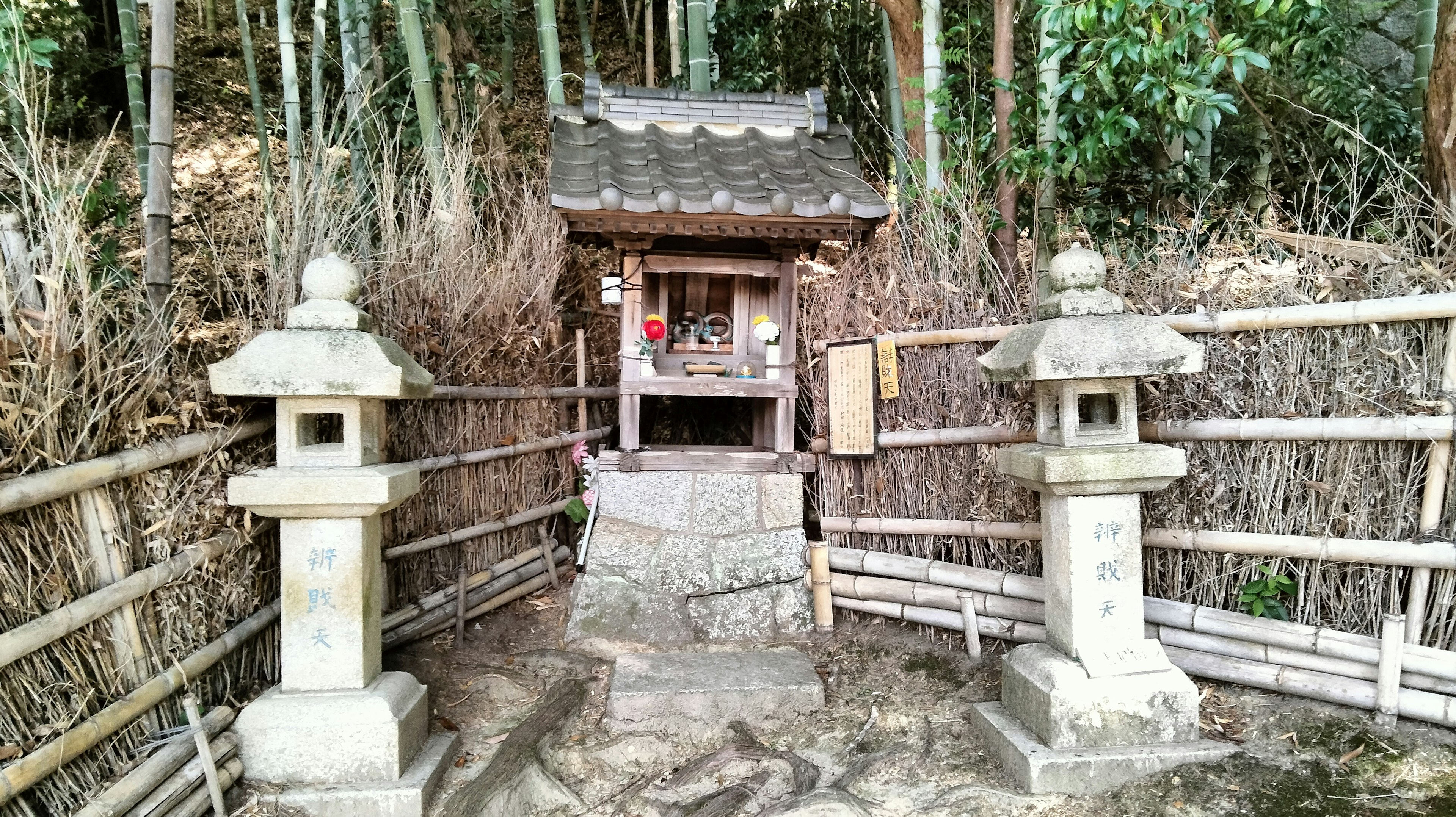 A small shrine nestled in the forest with stone lanterns on either side