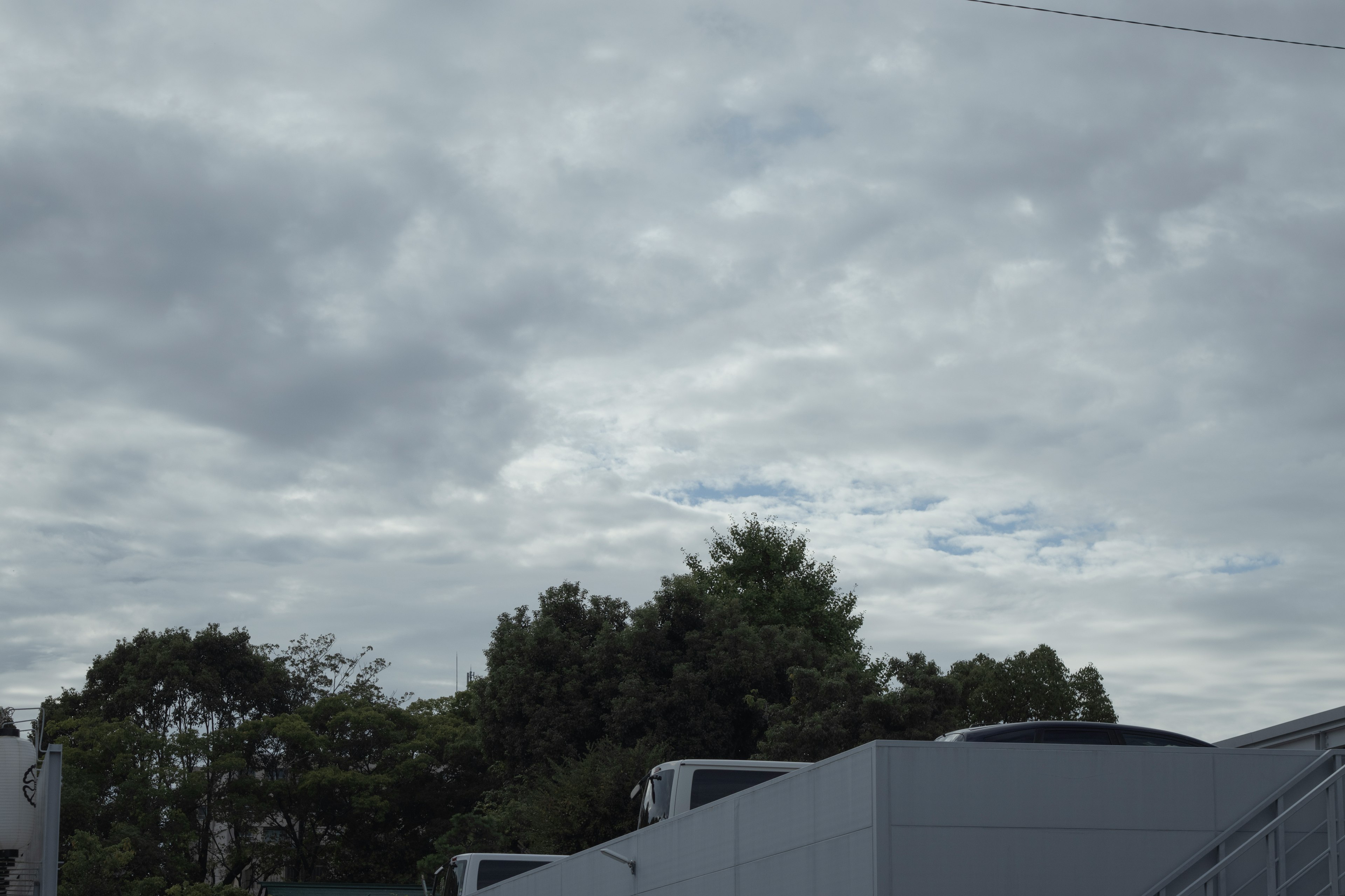 Langit mendung dengan pohon hijau di latar belakang