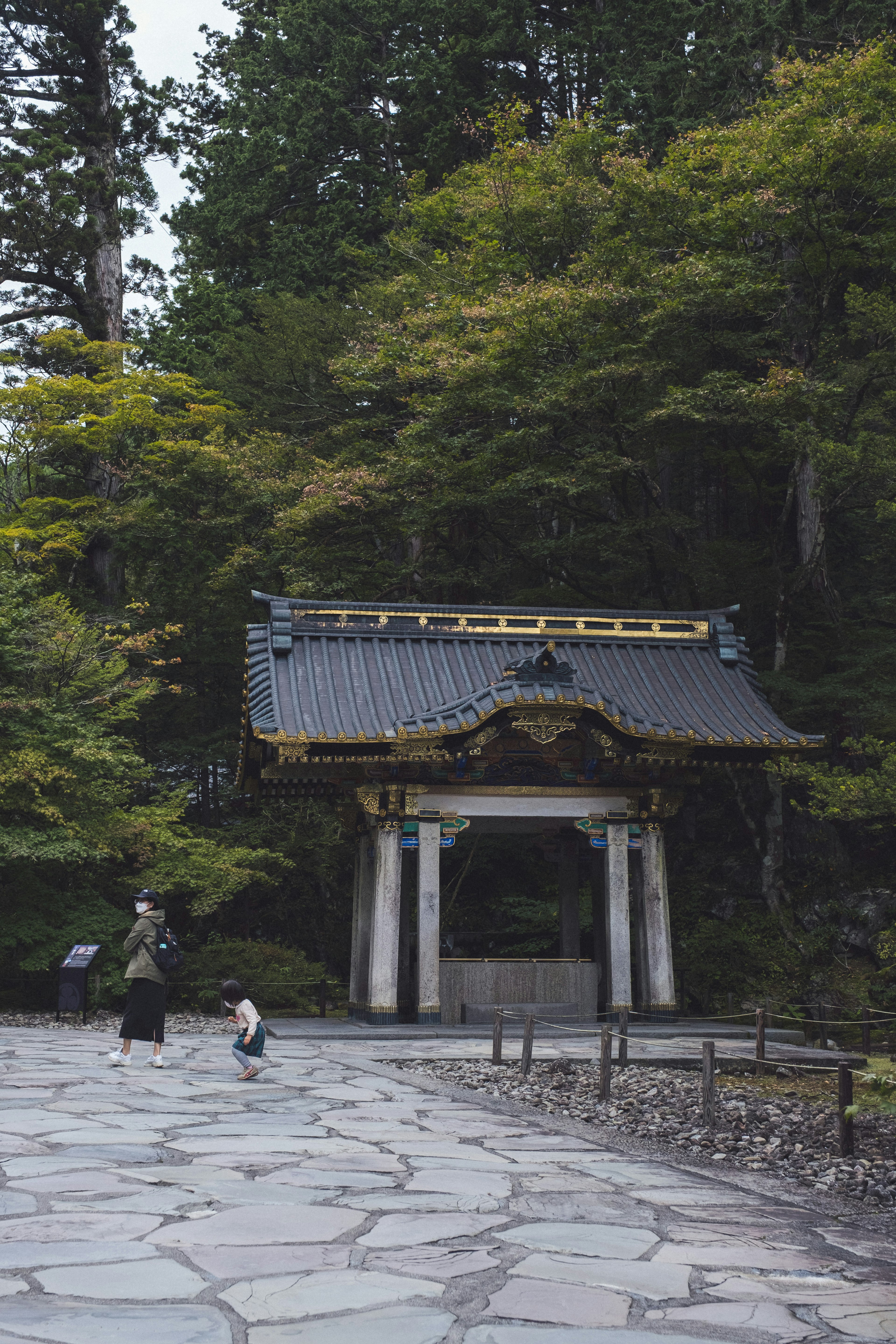 美しい木々に囲まれた伝統的な日本の門と石の小道