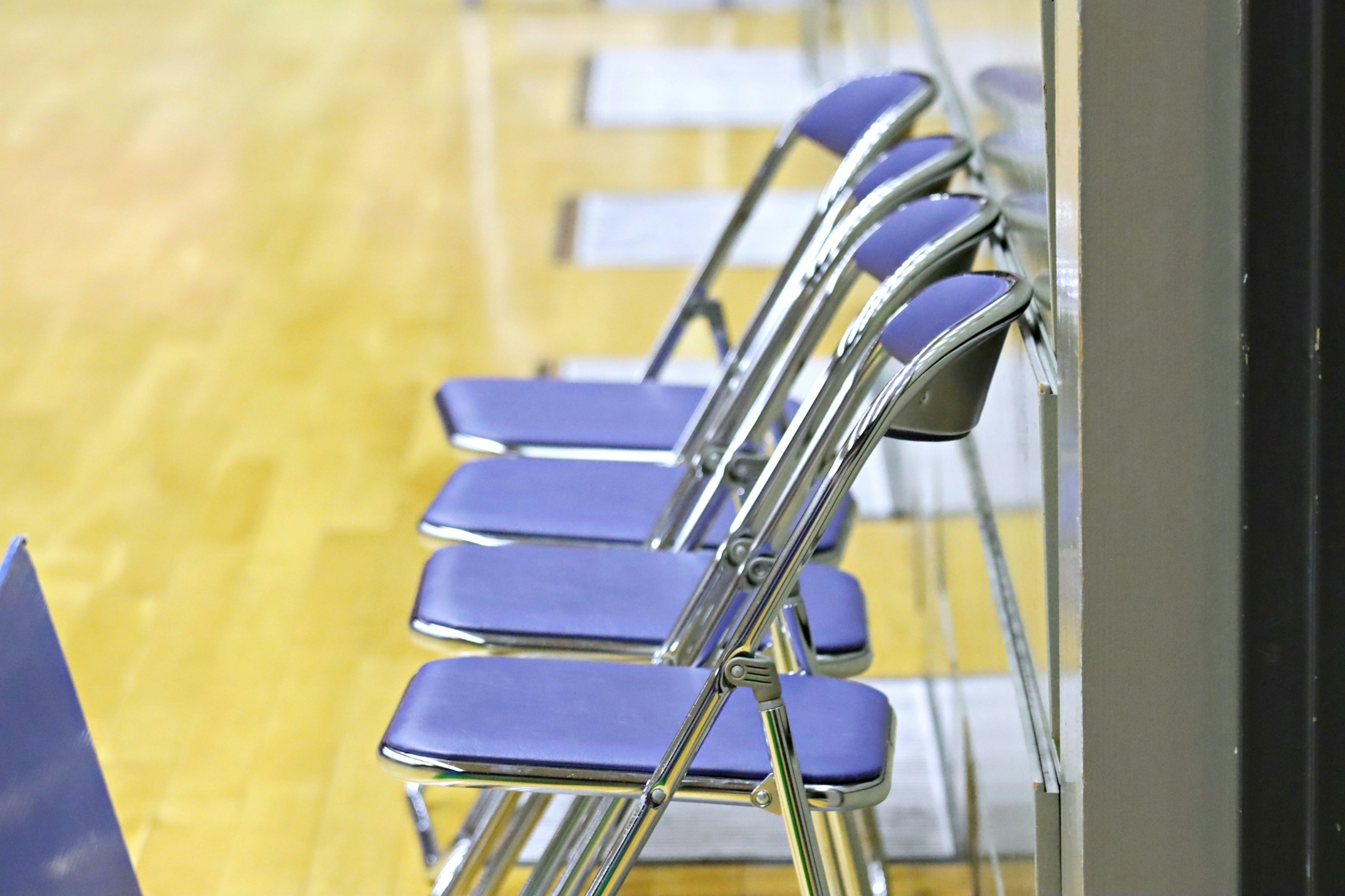 Row of blue cushioned folding chairs lined up on a gymnasium floor