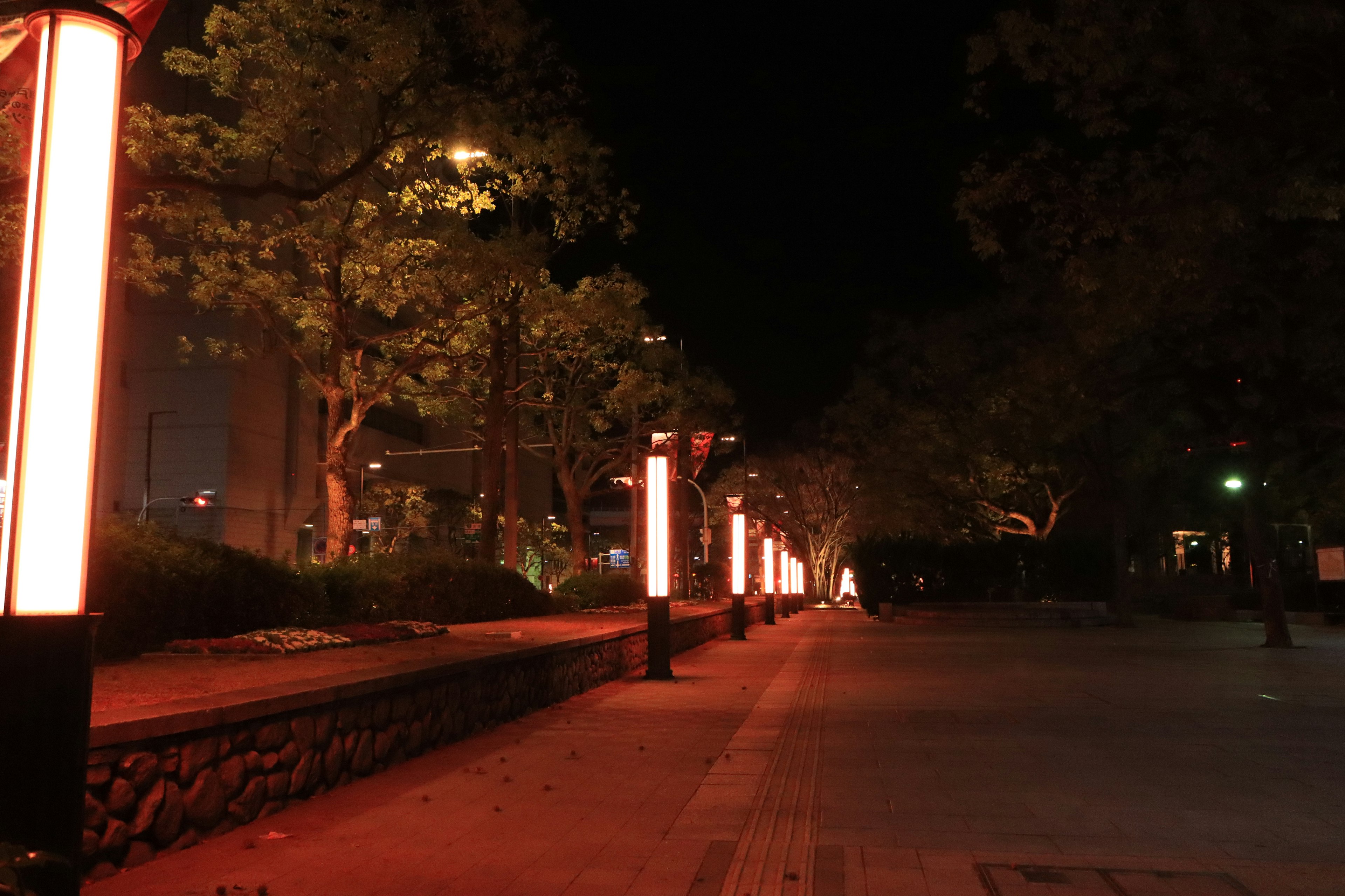 夜の公園の赤い照明に照らされた歩道