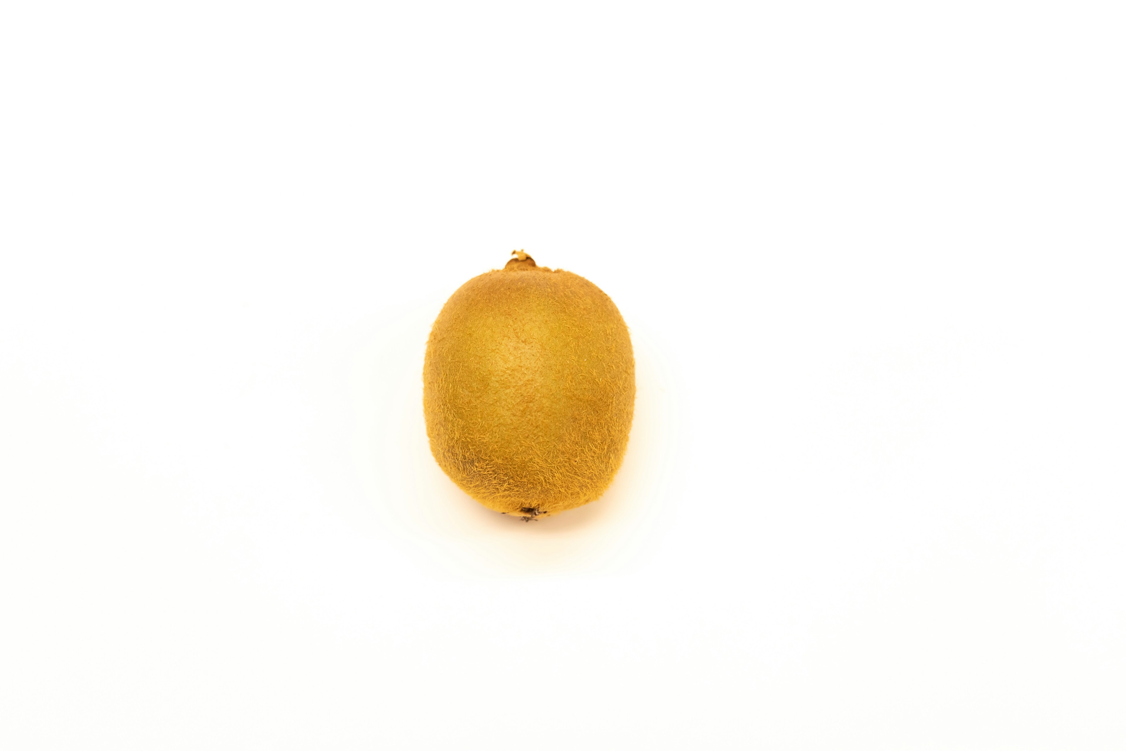 A kiwi fruit on a white background