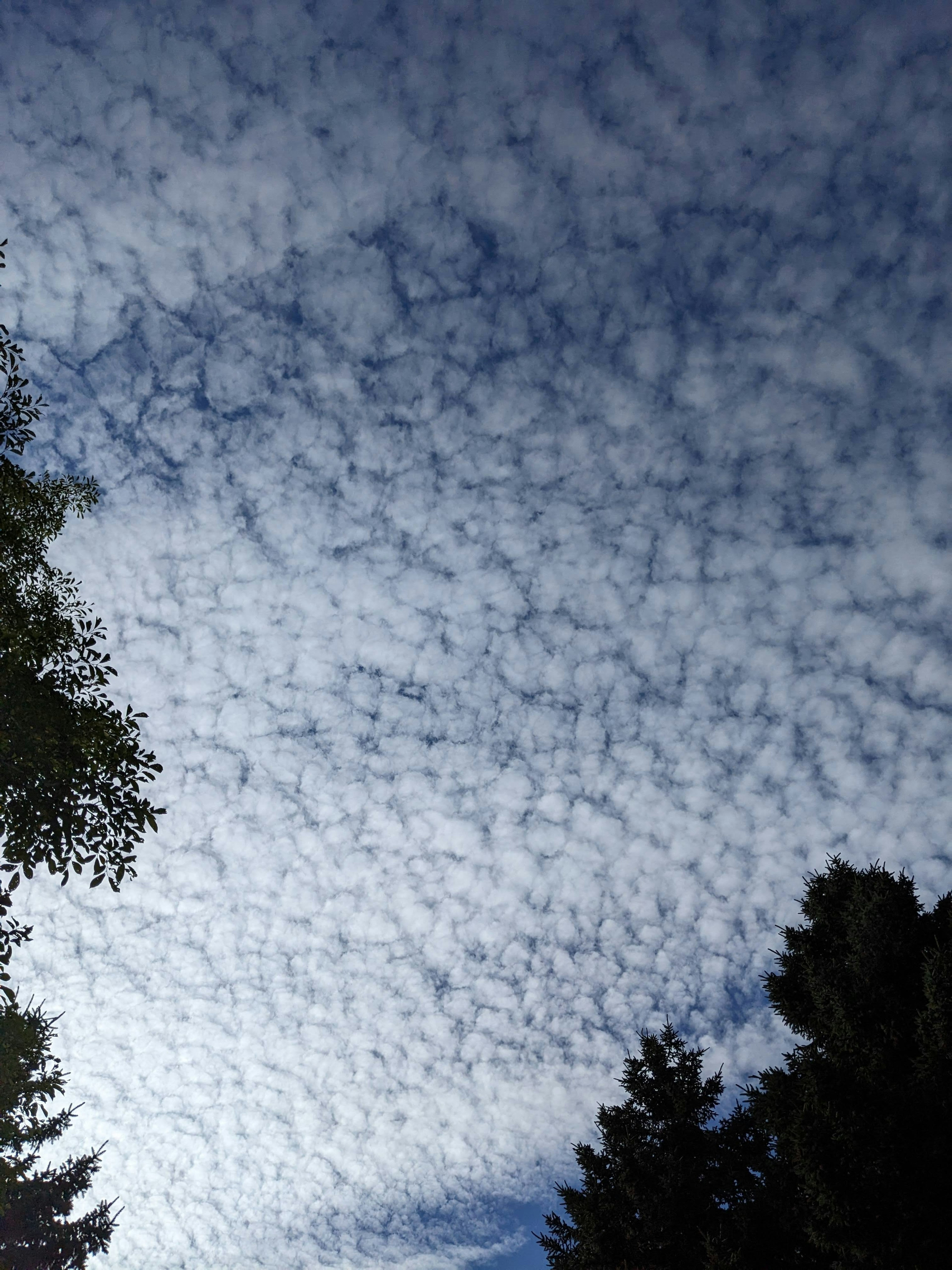 Une vue d'un ciel bleu rempli de nuages blancs