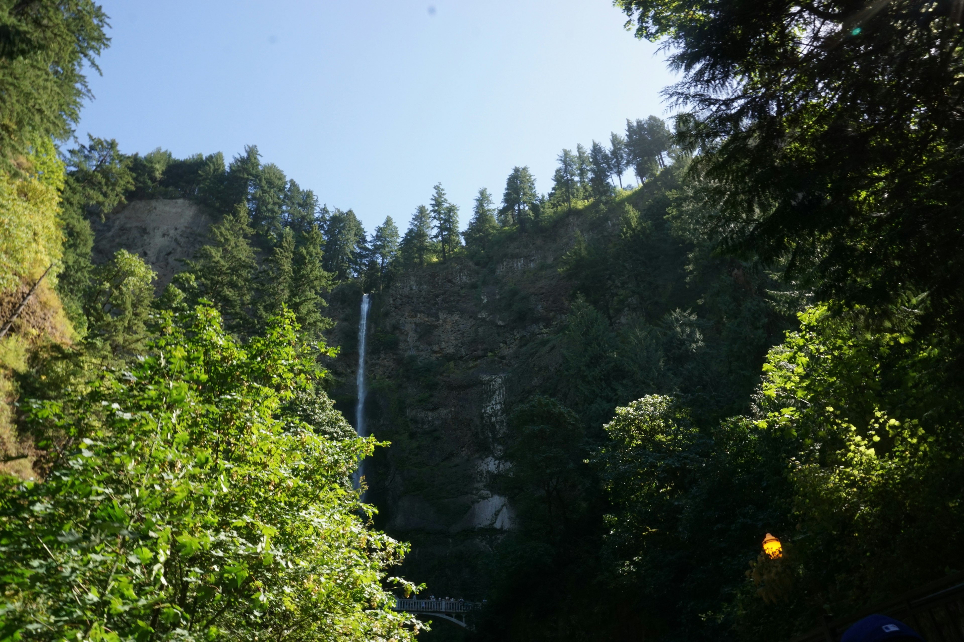 Vista panoramica di una cascata circondata da alberi verdi lussureggianti sotto un cielo sereno