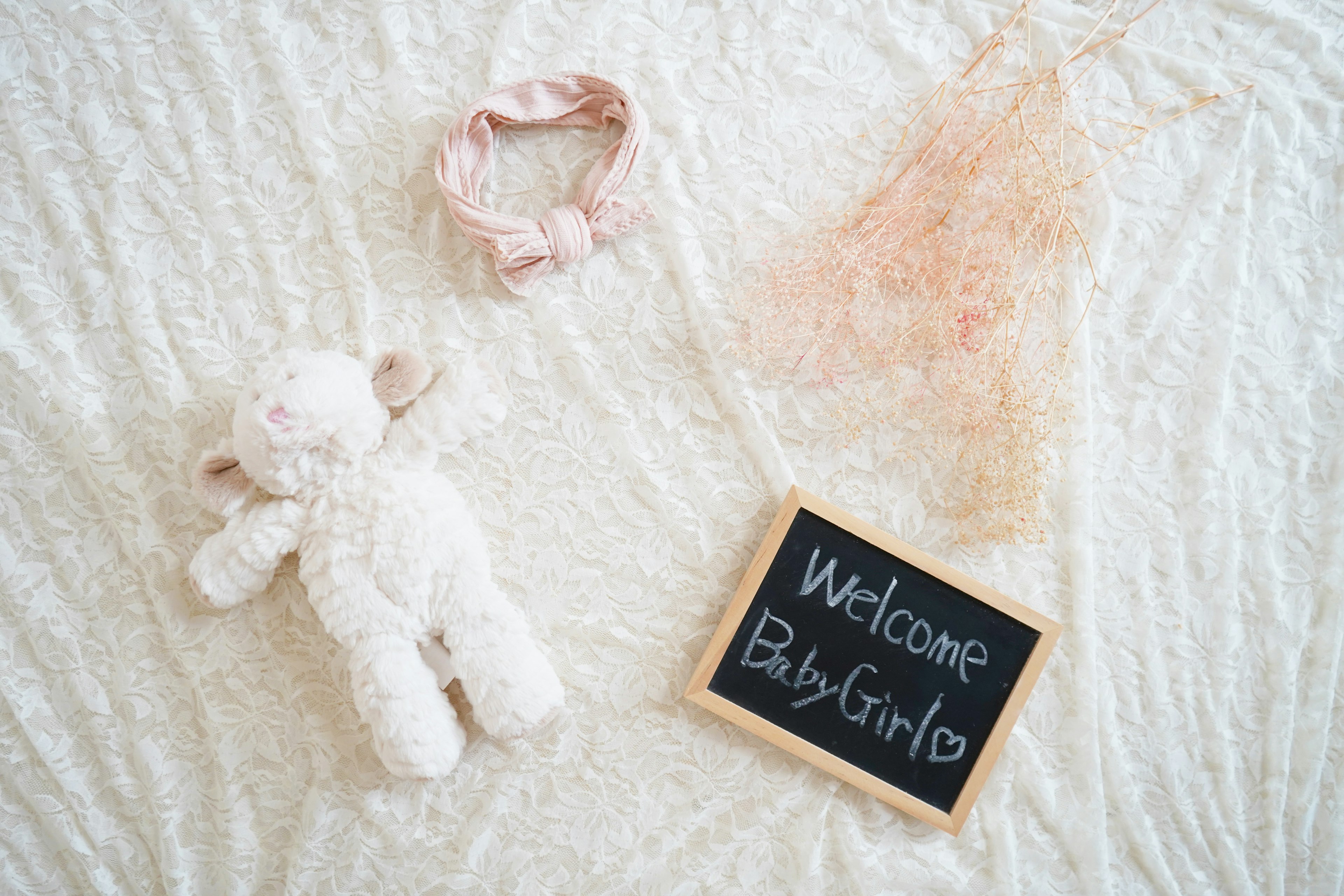 Image featuring a plush lamb toy and a chalkboard welcoming a baby girl on a soft background