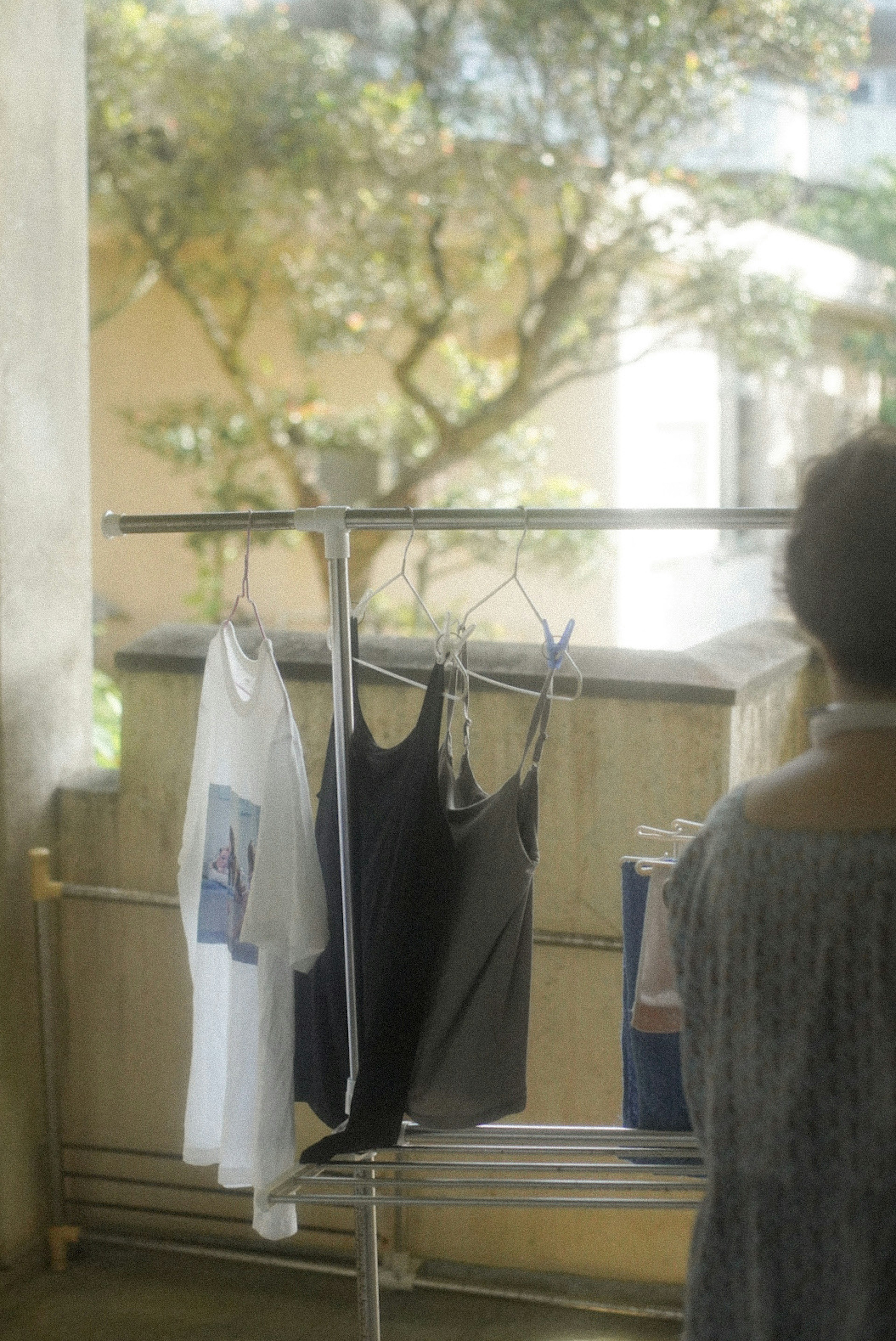 A woman hanging laundry with a blurred background of a tree