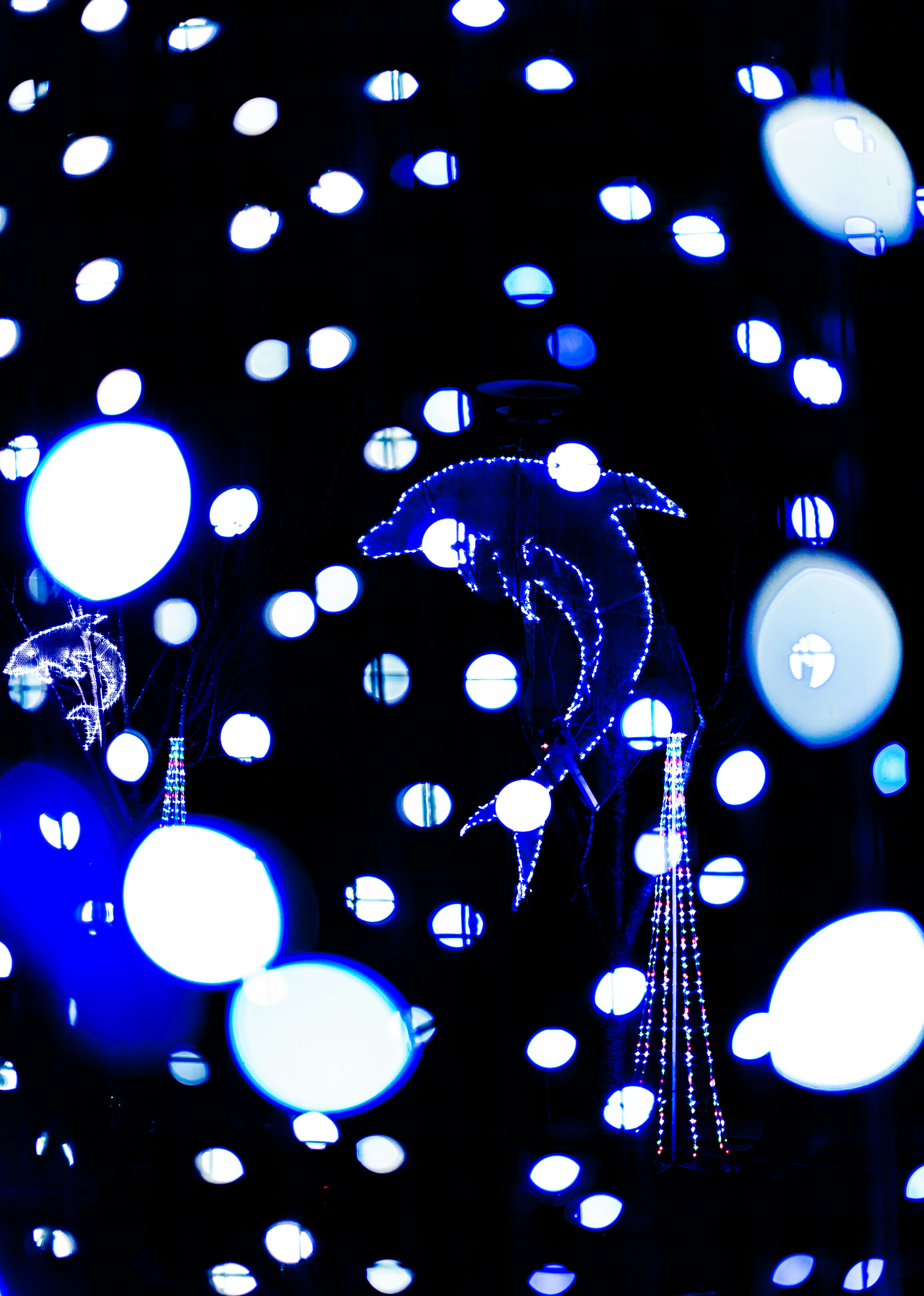 Delfín iluminado sobre fondo oscuro con luces azules y blancas